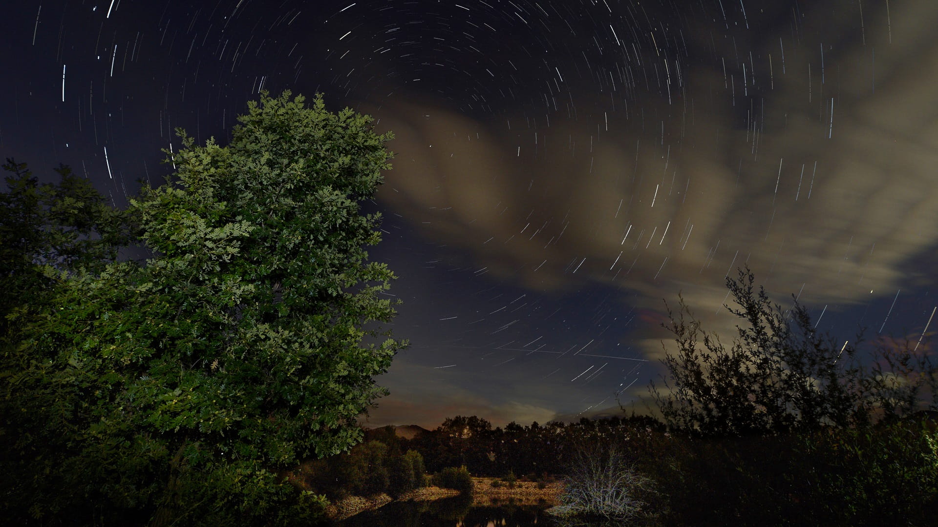 The Perseids Meteor Shower: Experience The Wonder Of The Night Sky - r3gkxj3