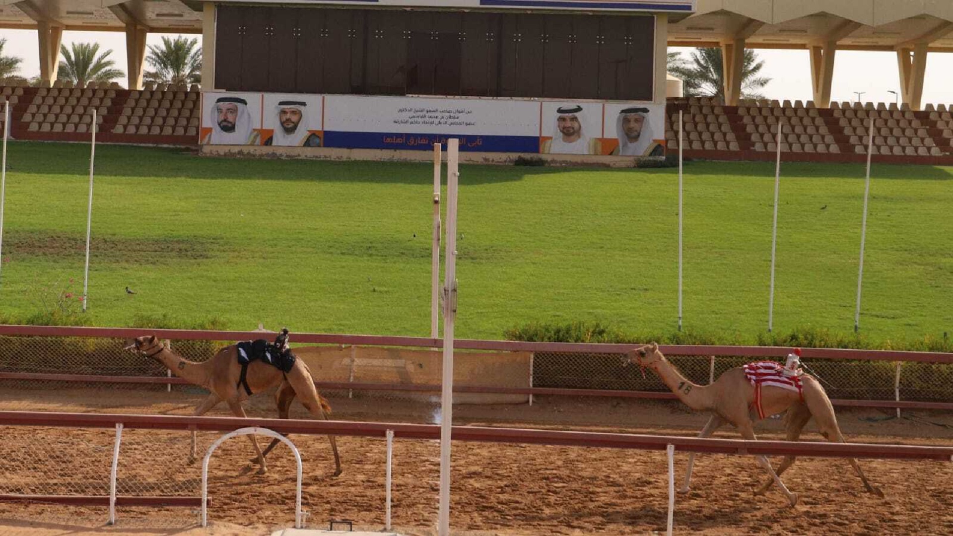 صورة بعنوان: انطلاق سن الحقايق لشارة طحنون بن محمد بميدان الذيد 