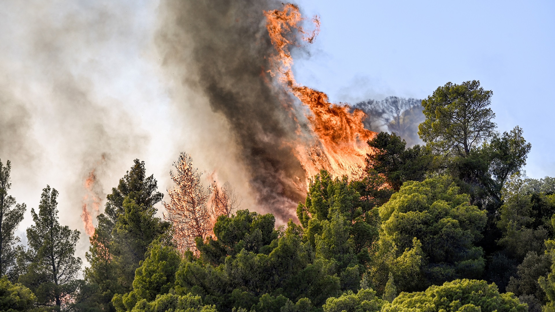 Image for the title: 18 suspected migrants die in Greek forest fire 