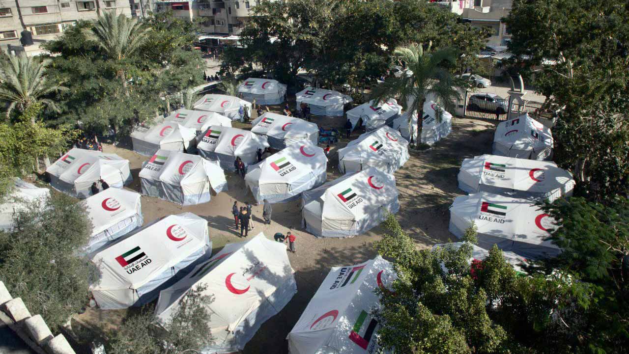 Image for the title: ERC distributes food parcels to people of Rafah 