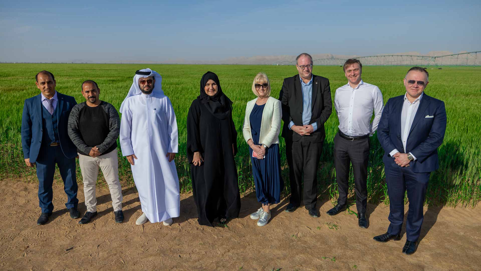 Image for the title: UOE’s delegation visits wheat farm in Al Mleiha 