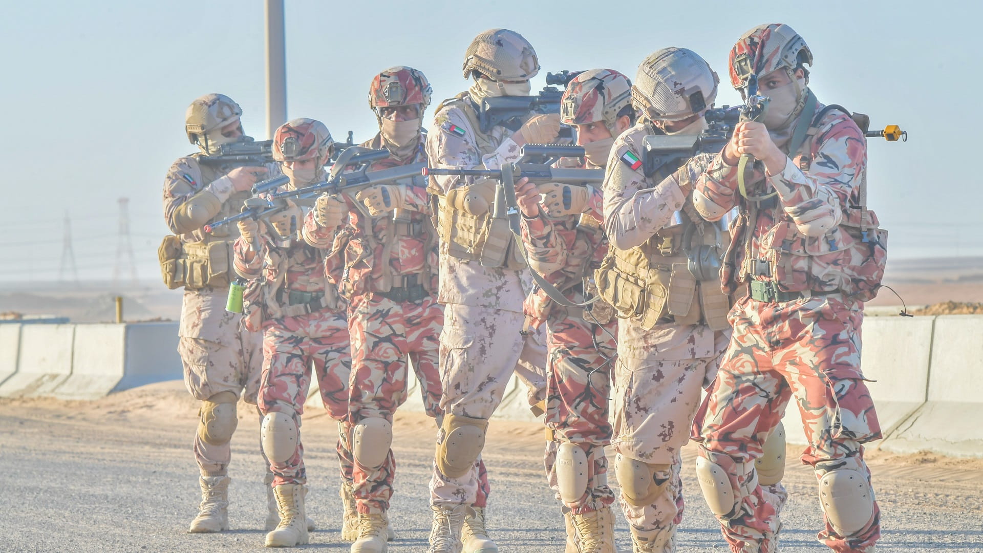 Image for the title: UAE-Oman joint military exercise concludes 