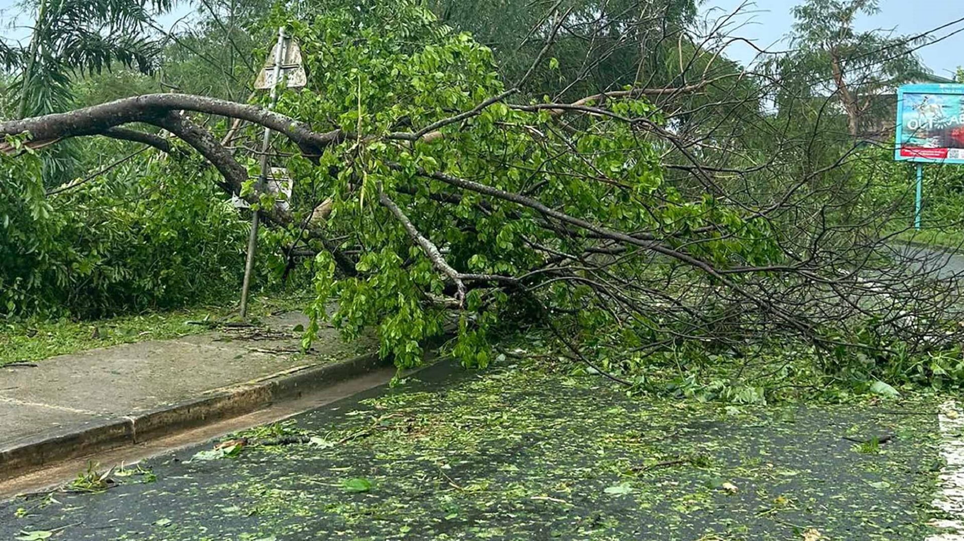 Image for the title: Cyclone Judy lashes Vanuatu 