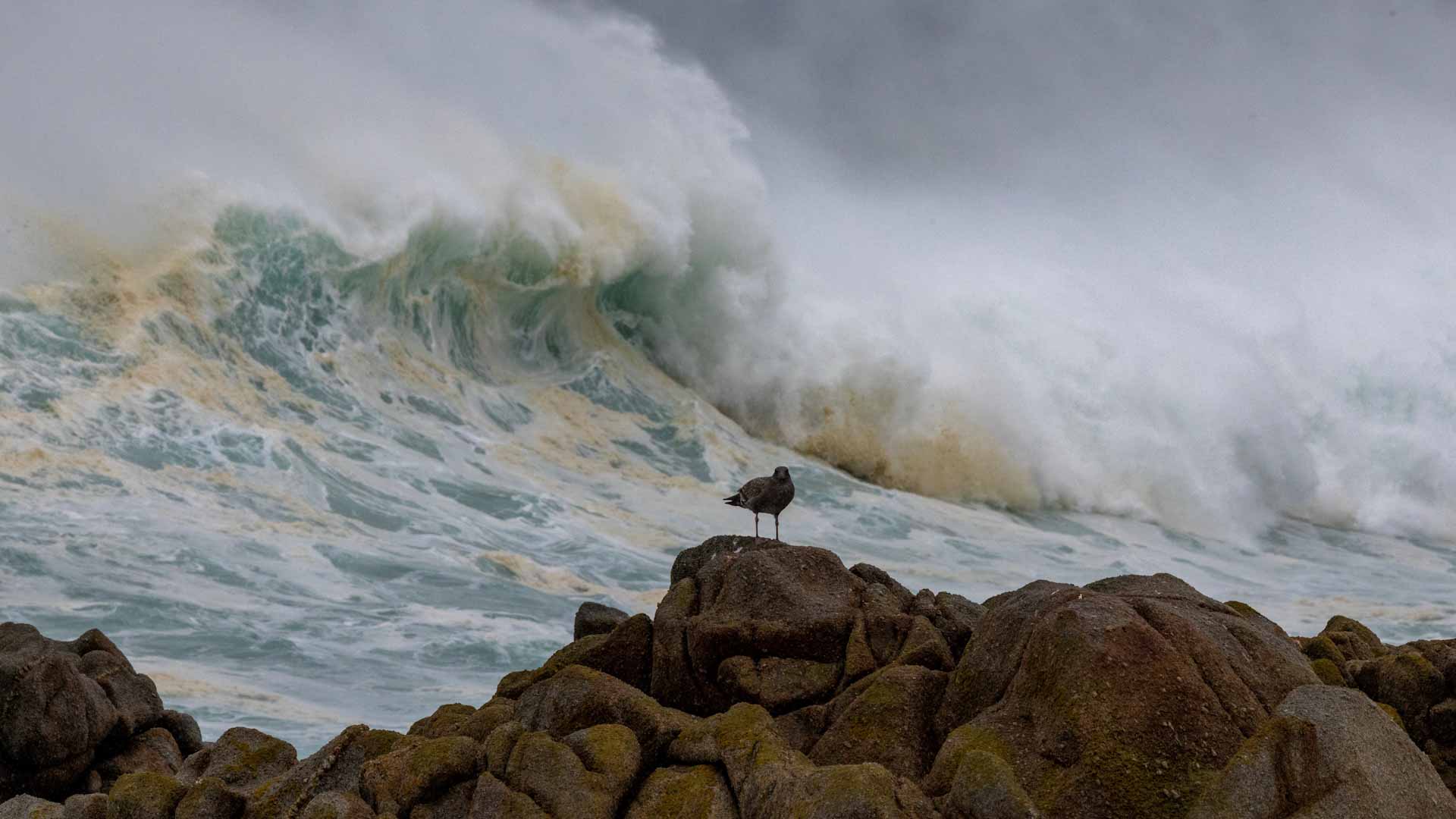 Image for the title: Another storm brings a "disastrous" flood warning for California 