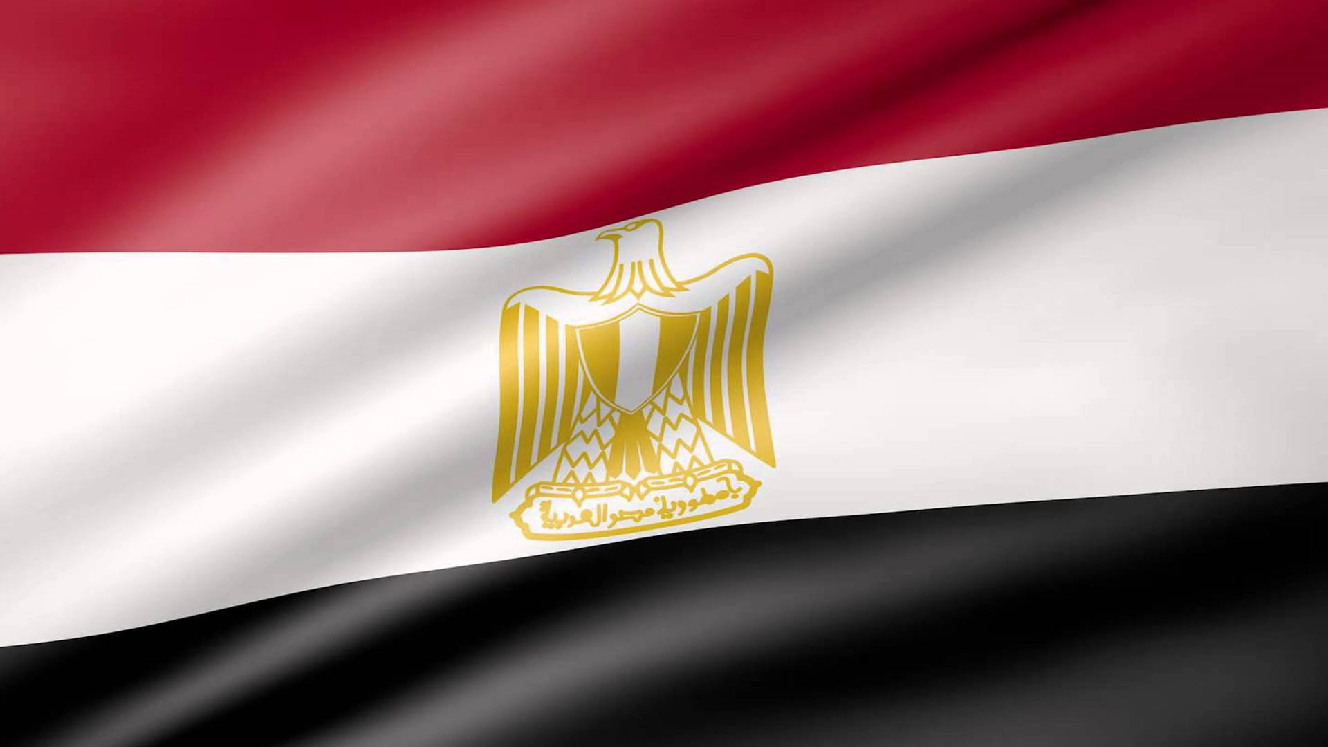 Image for the title: Egypt condemns tearing of Holy Quran copy in Netherlands 