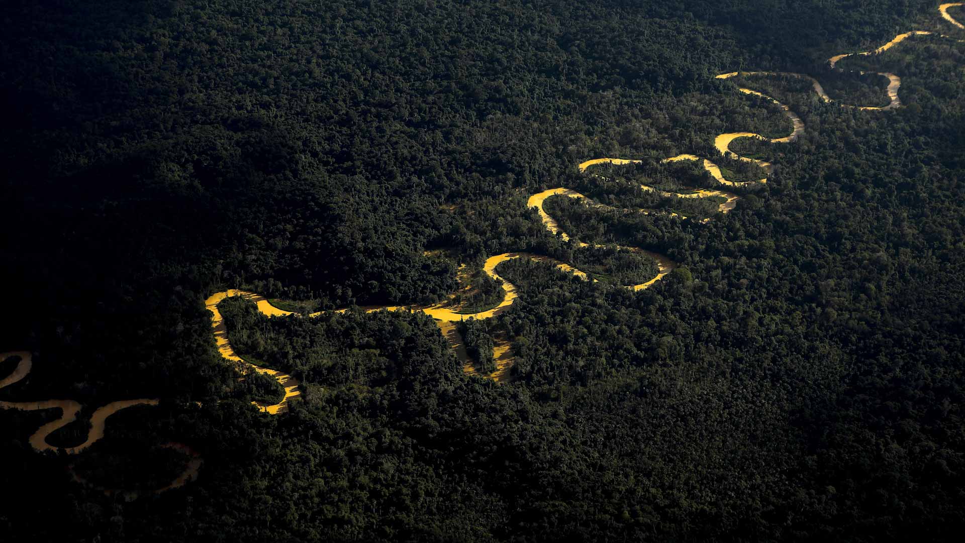 Image for the title: Brazil readies task force to expel miners from Yanomami lands 