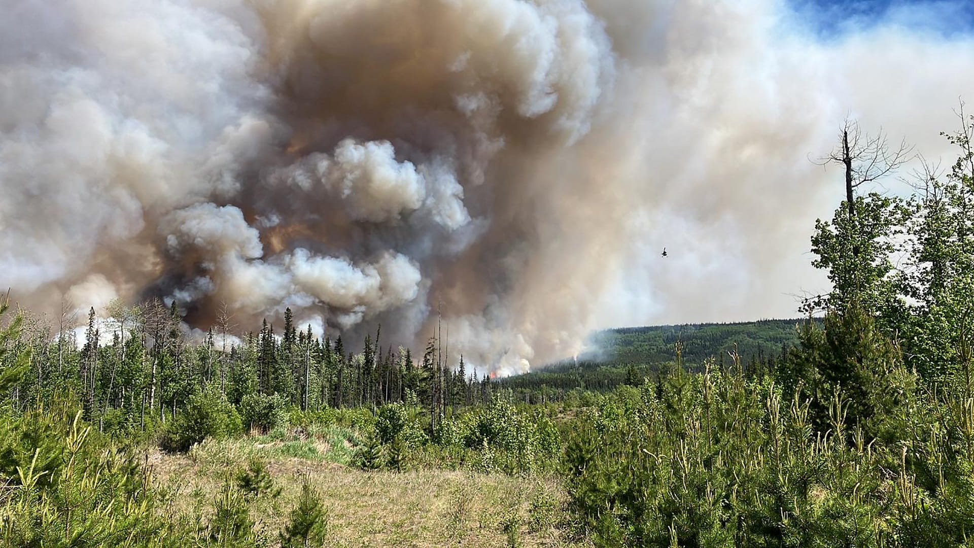 Image for the title: Canada wildfires break records for area burned, evacuations, cost 