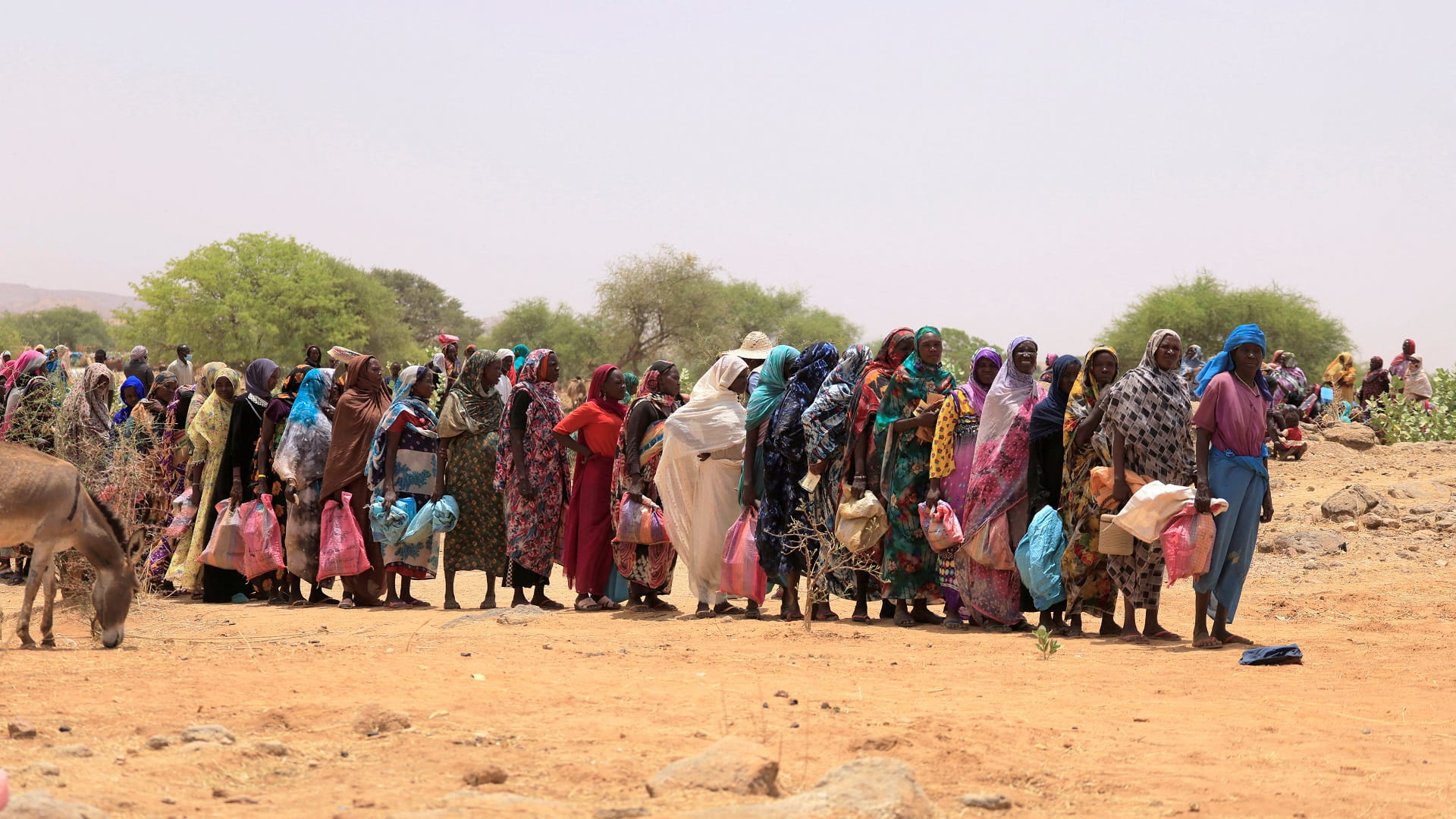 صورة بعنوان: مصر تستضيف قمة لدول جوار السودان الخميس 