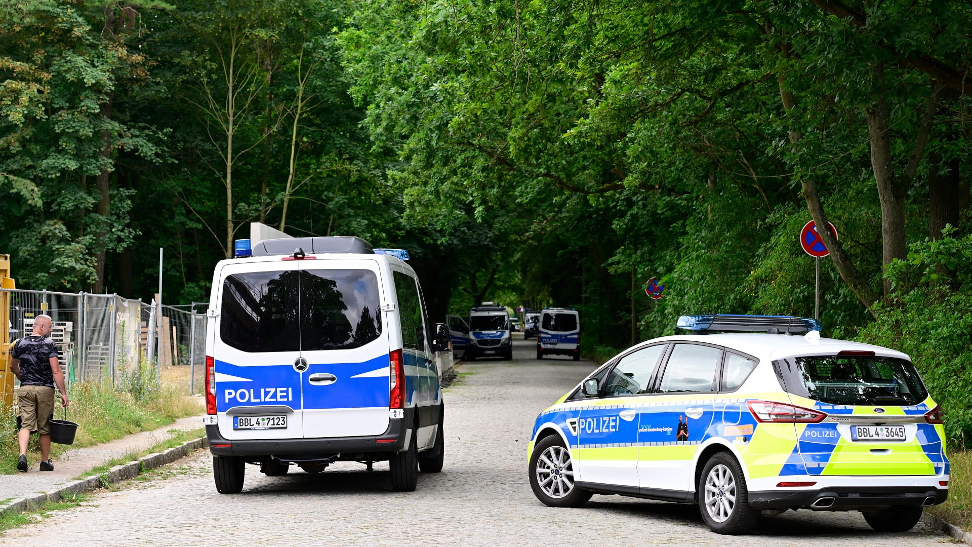 Image for the title: German police hunt for a lioness on the loose in Berlin 