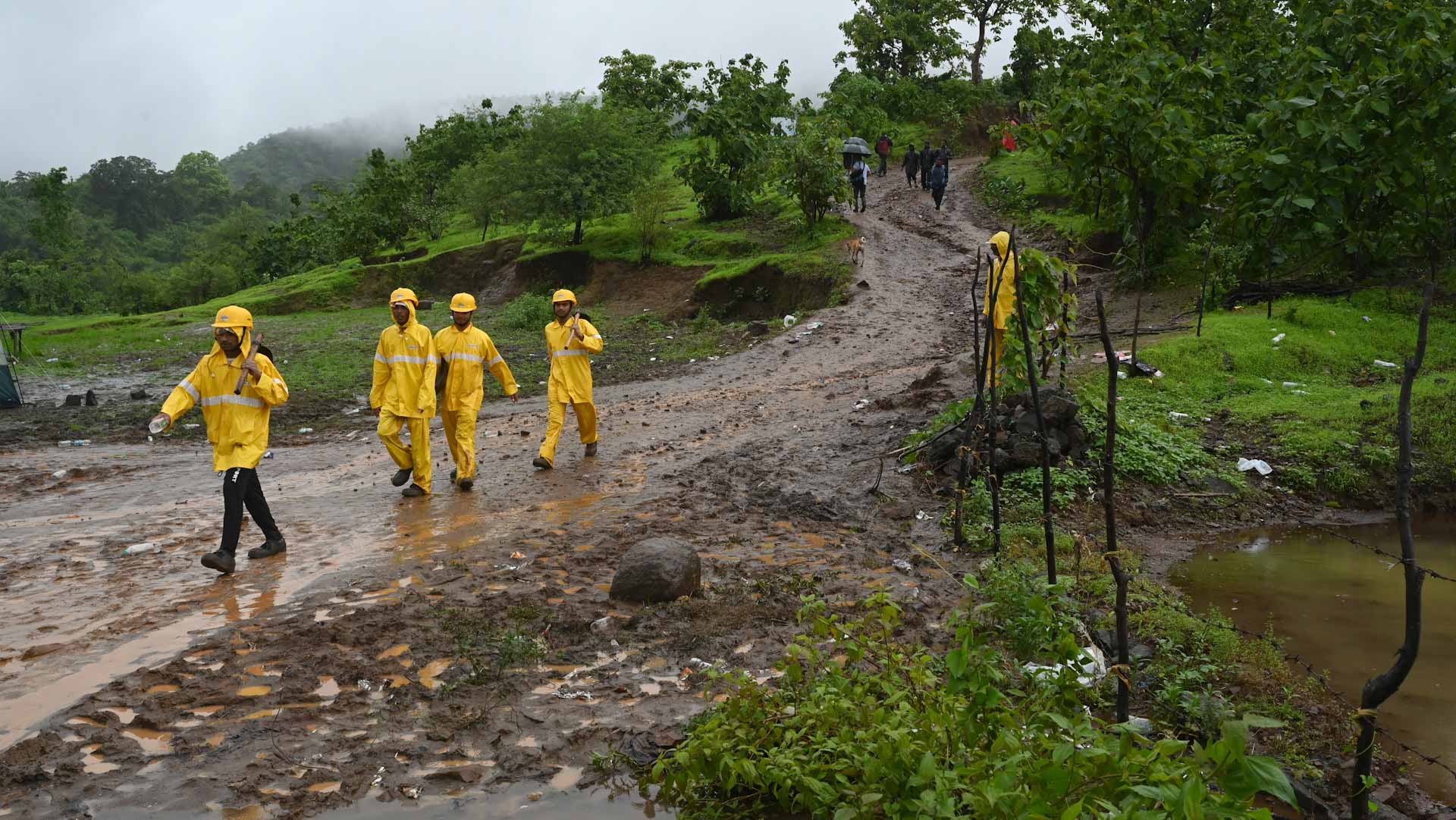 Image for the title: Indian landslide kills 16, rescue operations paused 