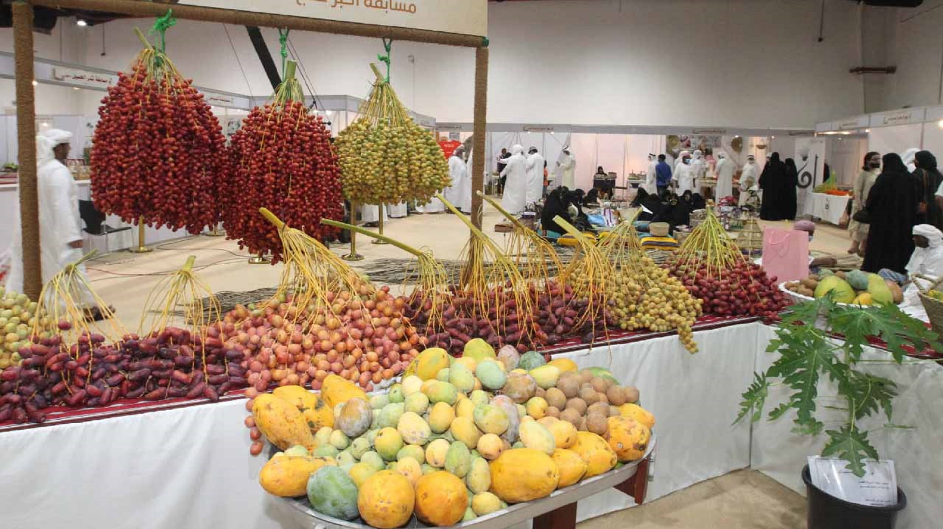 Image for the title: SCCI is ready to launch seventh edition of Al Dhaid Dates Festival 