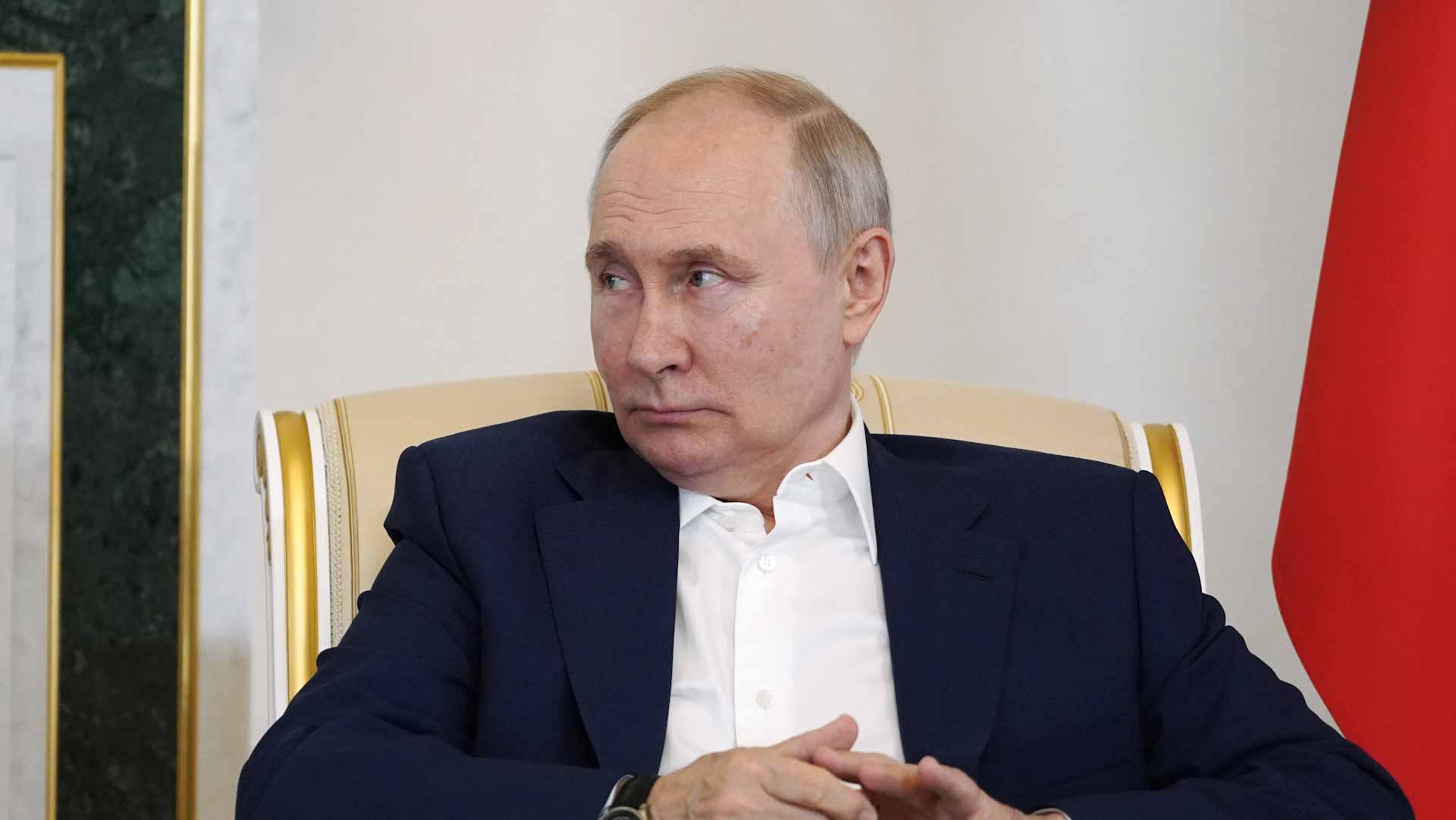 Image for the title: Putin: Russia will replace Ukrainian grain shipments to Africa 