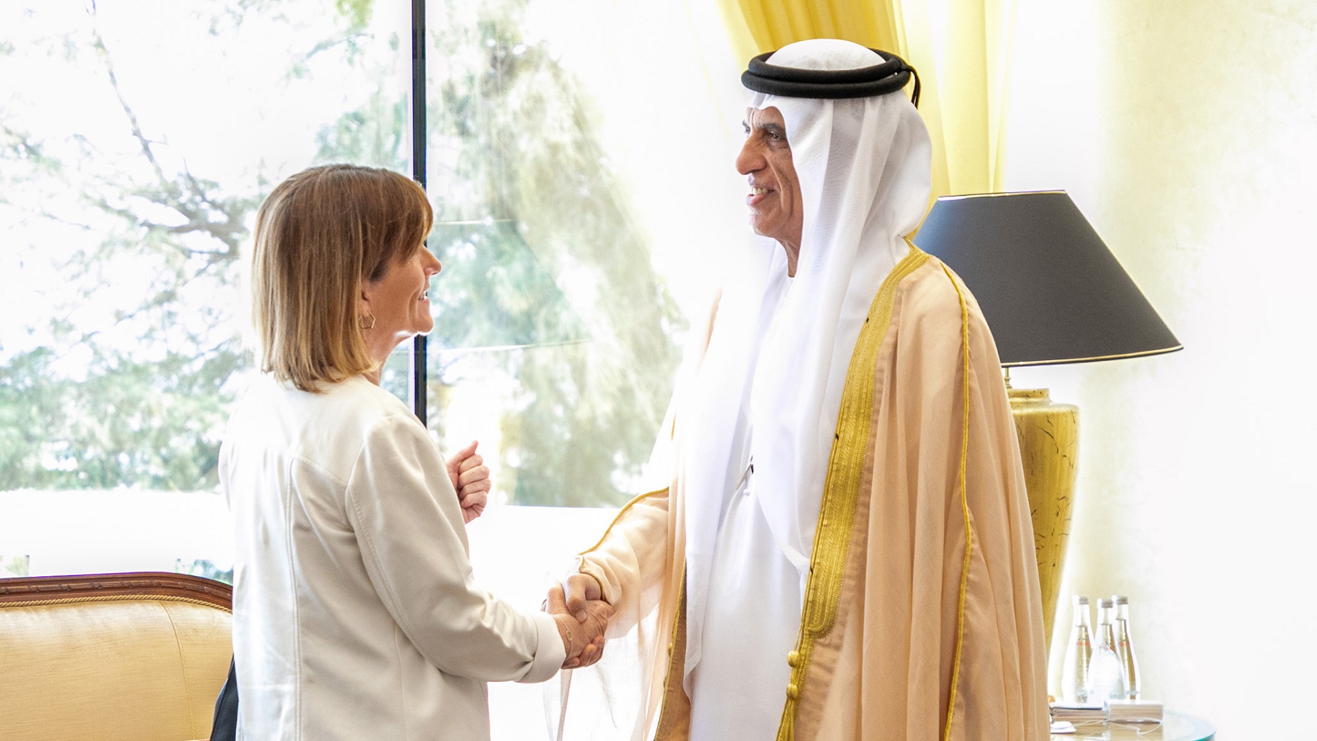 Image for the title: RAK Ruler receives Ambassador of Ireland 