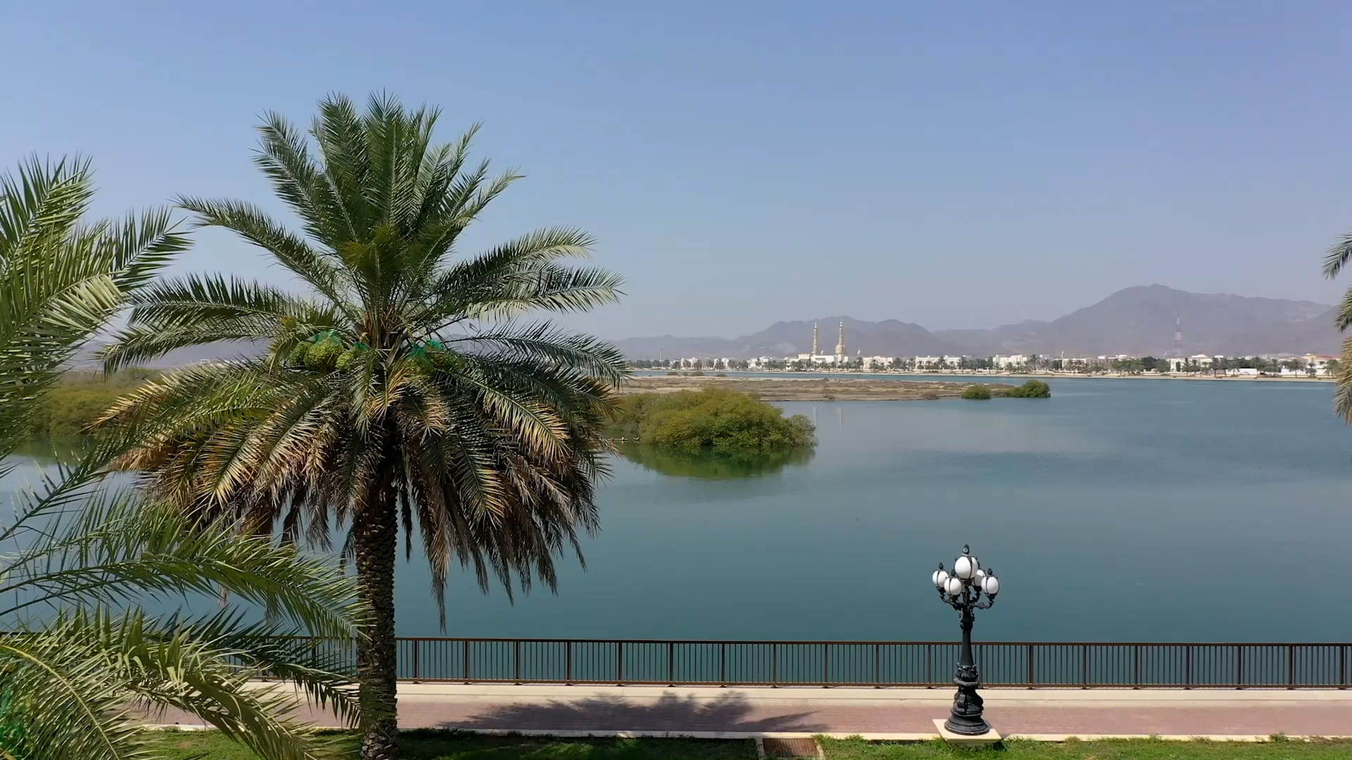 Image for the title: Khor Kalba Mangroves Reserve features diverse ecosystem 