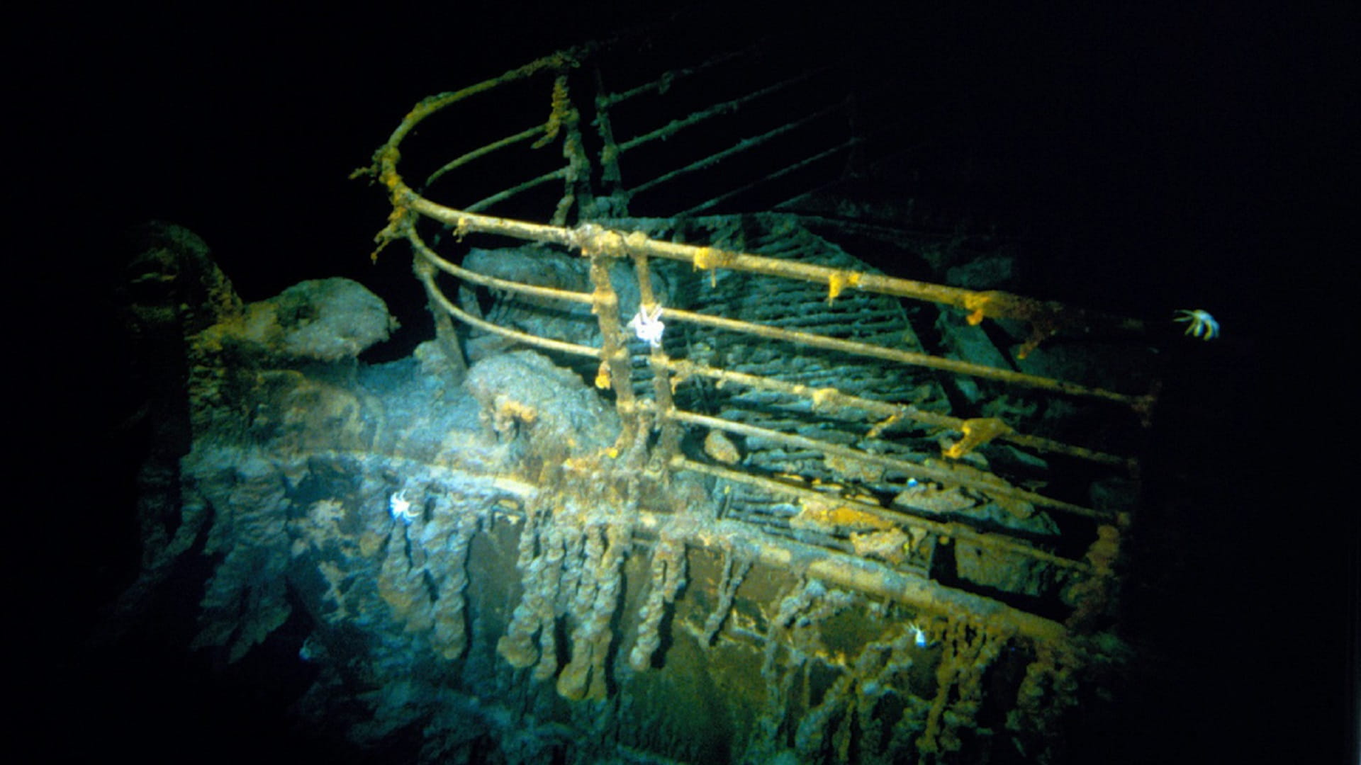 Image for the title: Debris found in search for missing Titanic sub 