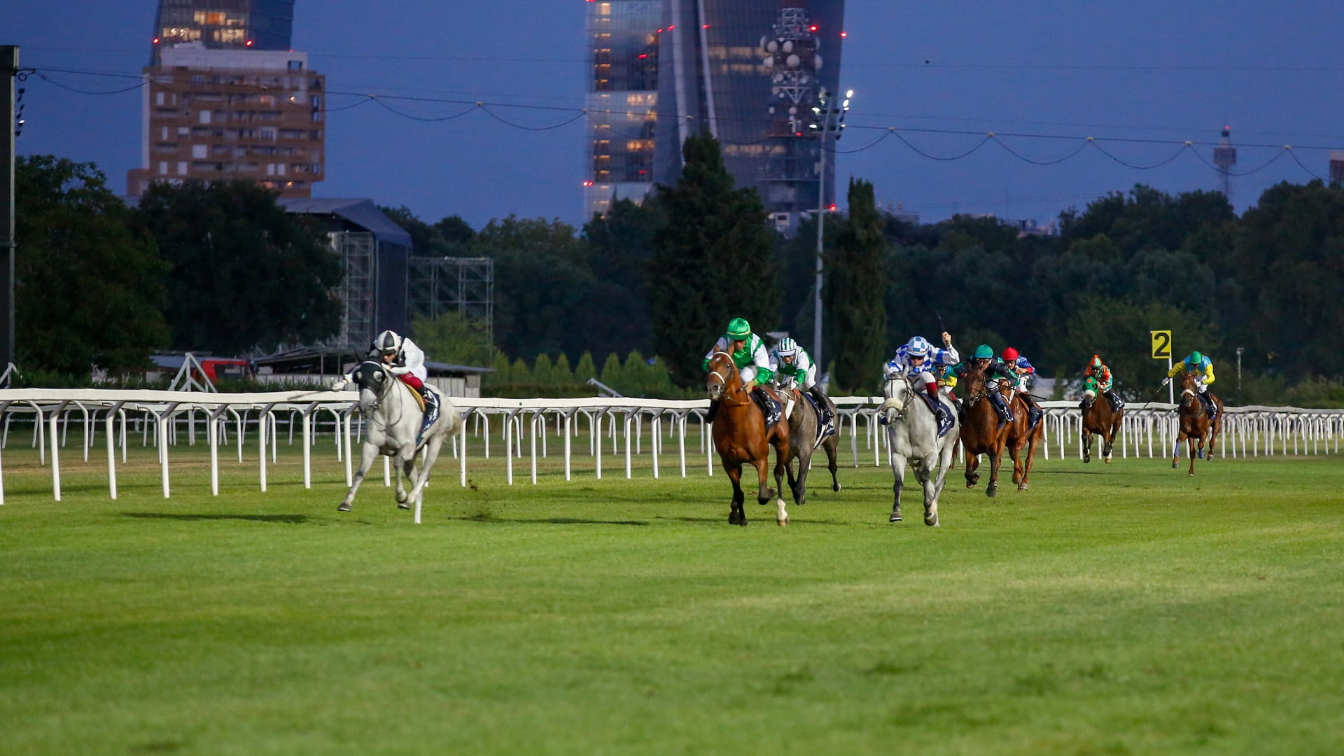 Image for the title: Italy to host UAE President’s Cup World Series for Arabian Horses 
