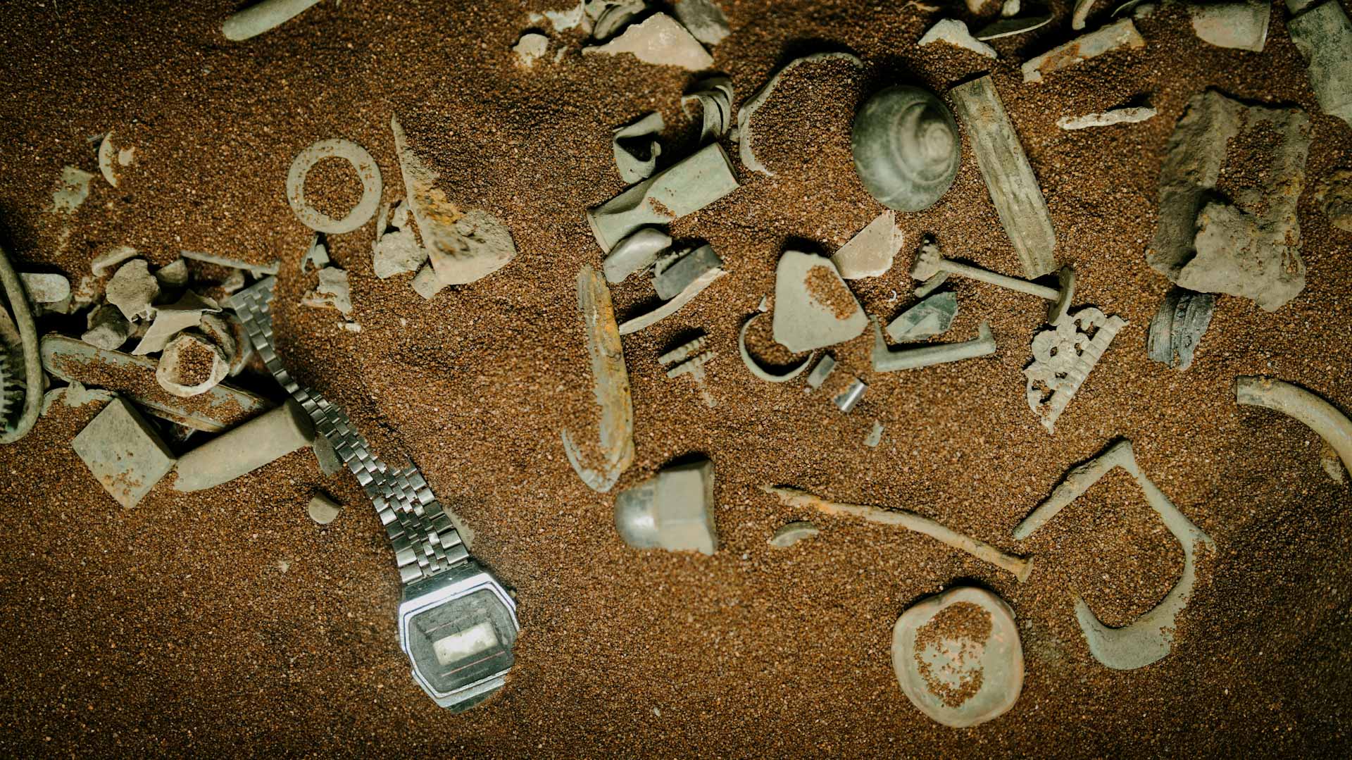 Image for the title: Treasure hunters' gems go on display in Denmark 