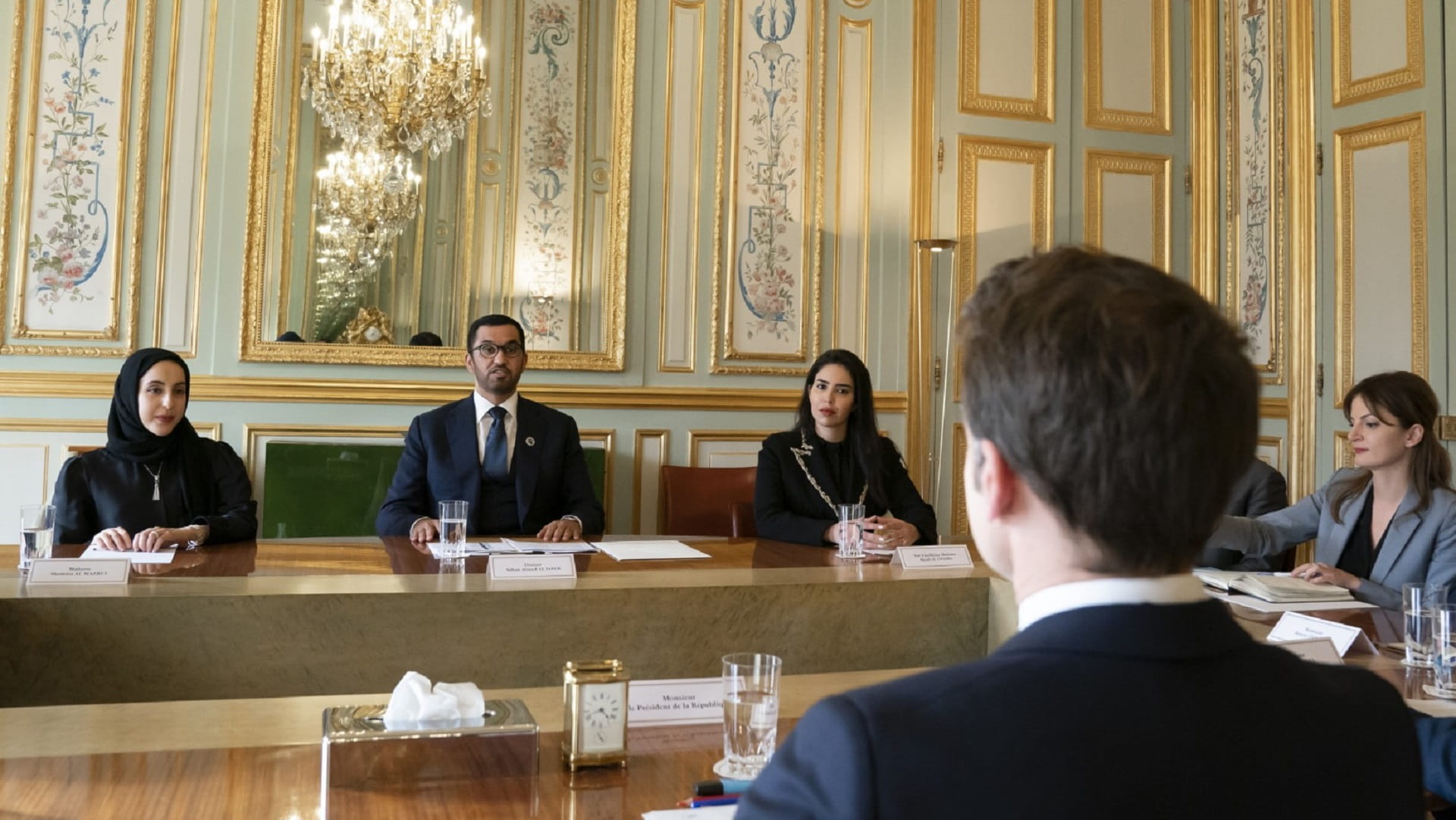 Image for the title: COP28 President-Designate meets with French President 