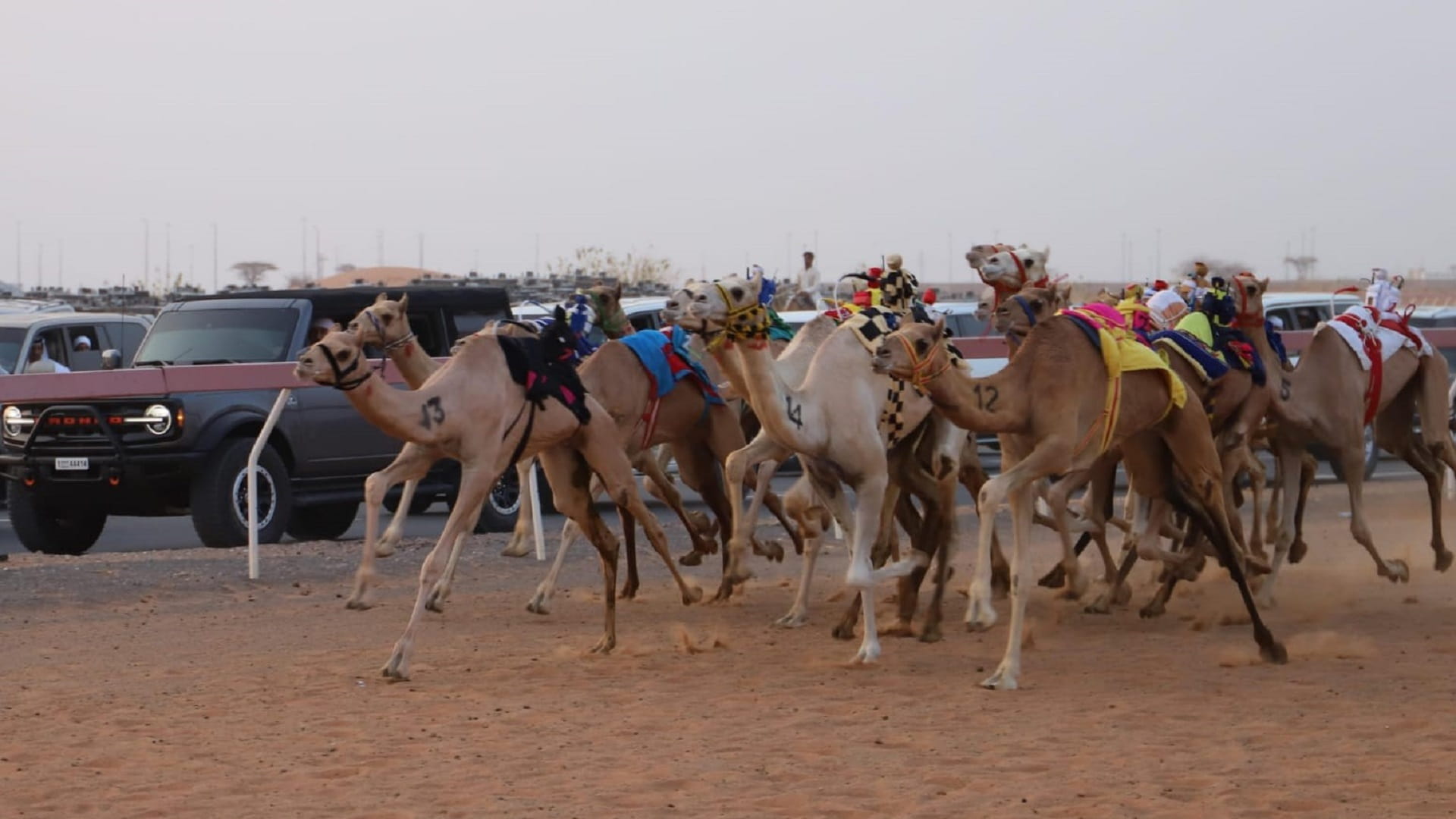 Image for the title: Sinn Al-Haqaiq President's Cup Races heat up in week 3 