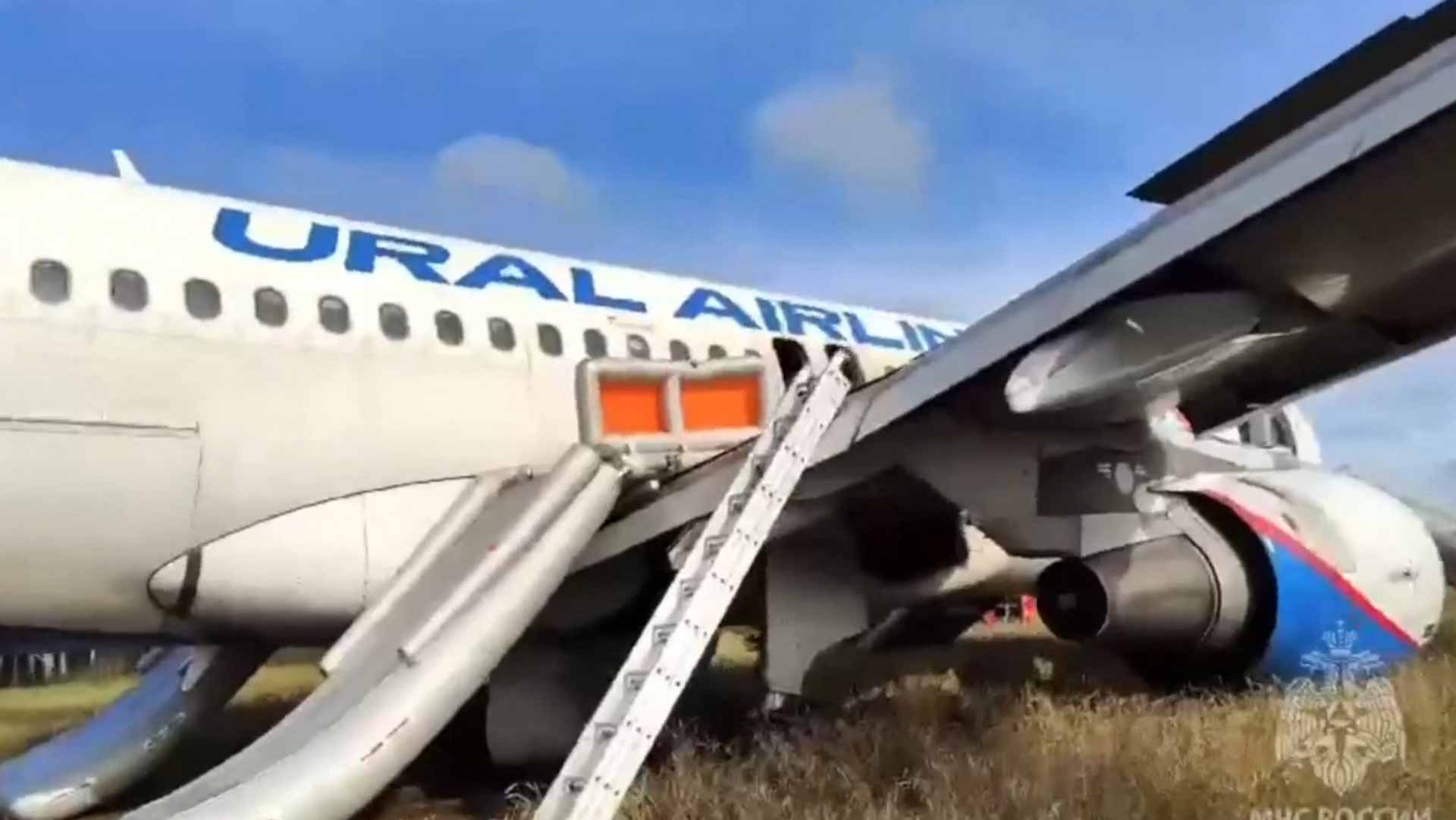 Image for the title: In Siberian meadow, Russian Airbus A320 makes emergency landing 