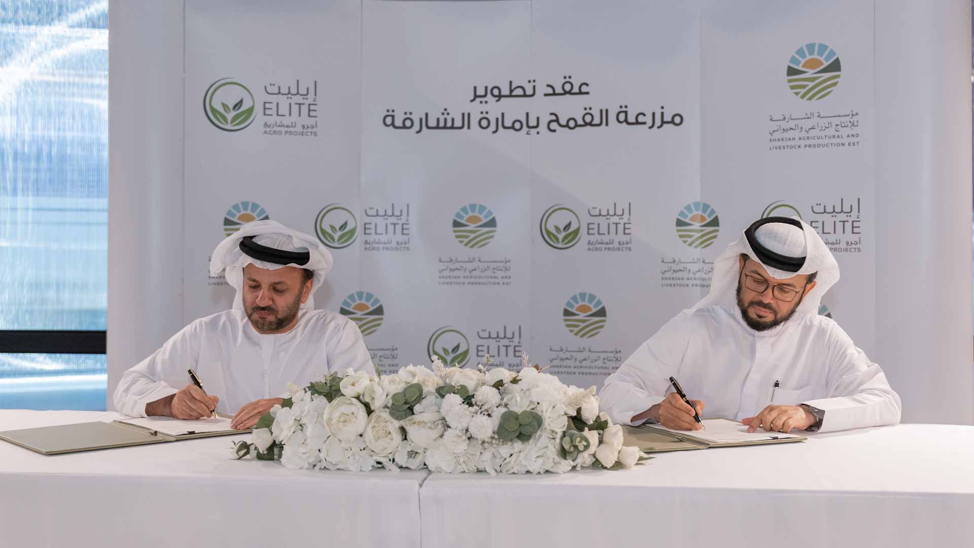 Image for the title: SALPE launches 2nd phase of wheat farm project in Mleiha 