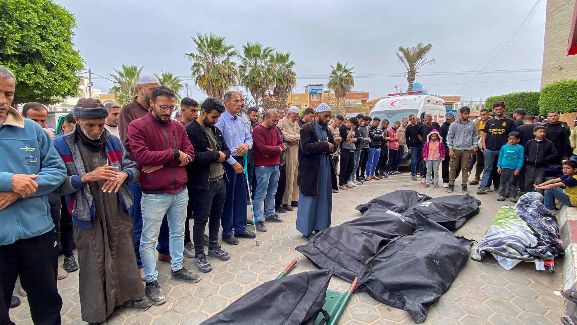 صورة بعنوان: مقتل 33037 فلسطينياً خلال الهجوم الإسرائيلي على غزة منذ 7 أكتوبر 