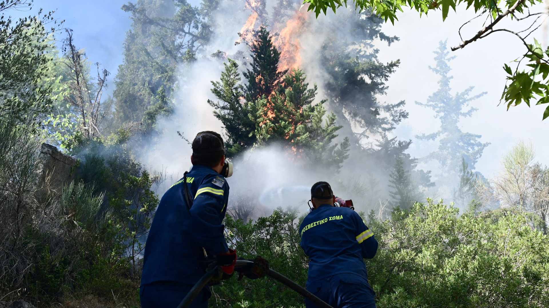 صورة بعنوان: اليونان تعلن حالة التأهب مع اقتراب حرائق الغابات من أثينا 