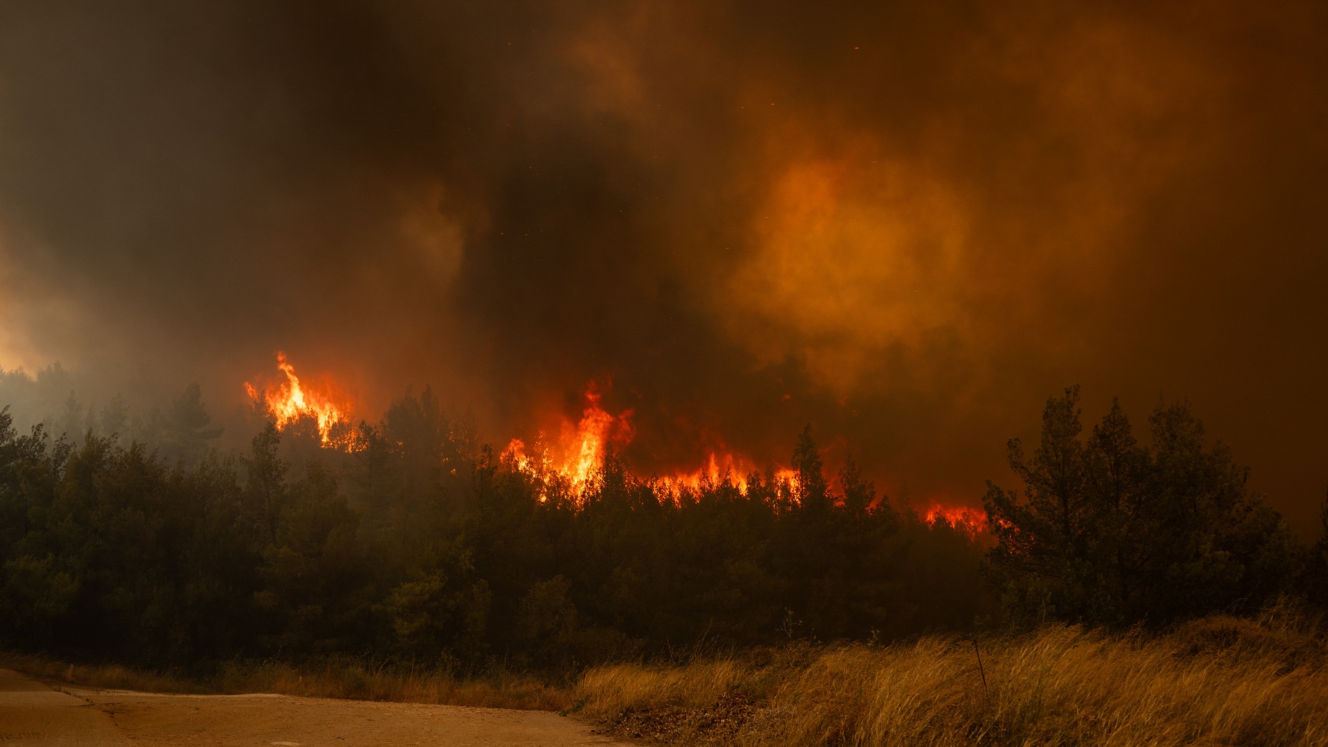 Image for the title: Greece calls for EU help to fight Athens wildfires 