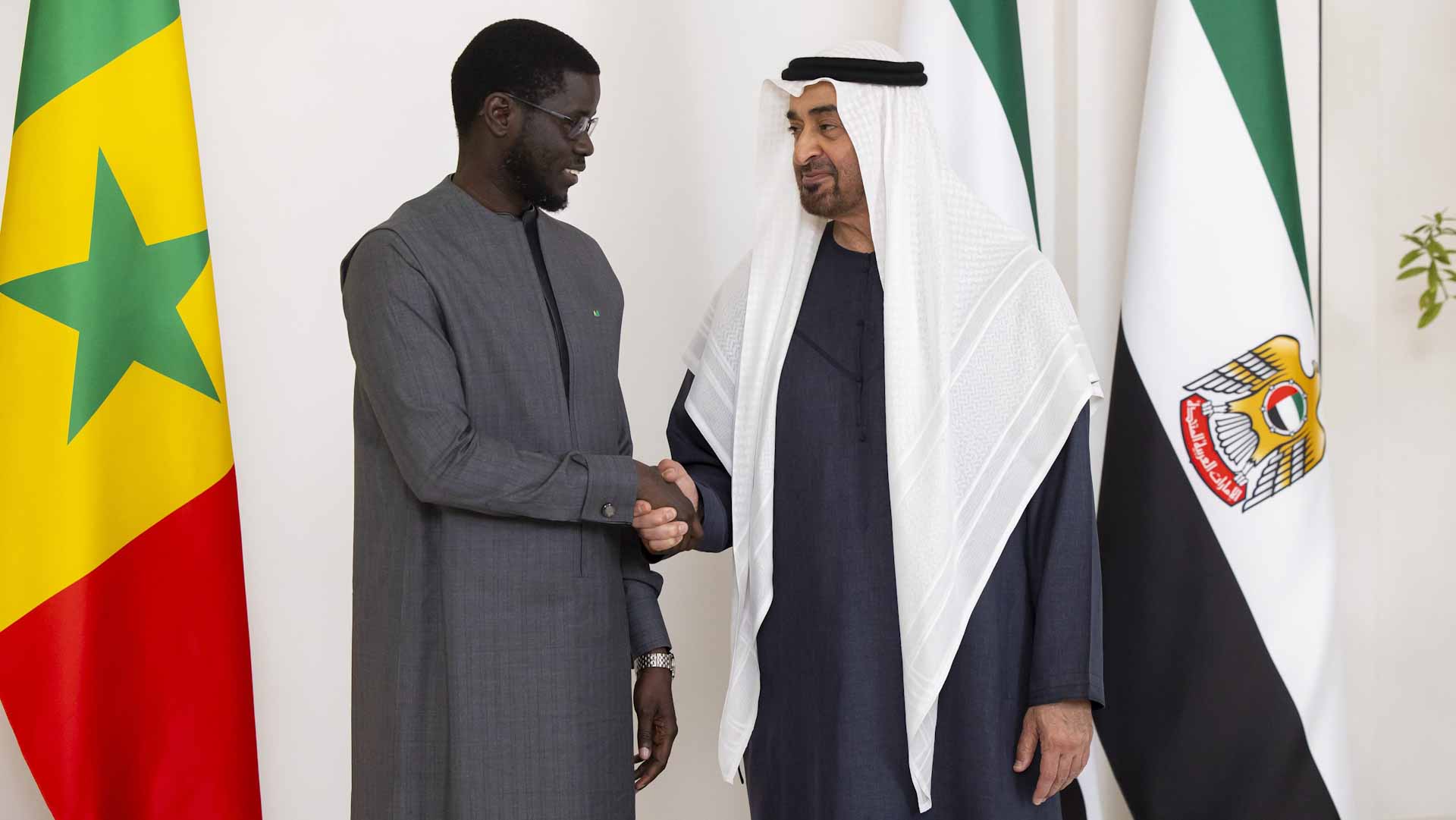 Image for the title: UAE, Senegalese Presidents explore ways to deepen cooperation 