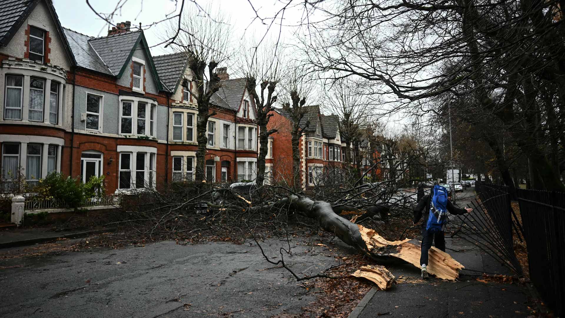 Image for the title: Power outages as storm Darragh lashes UK 