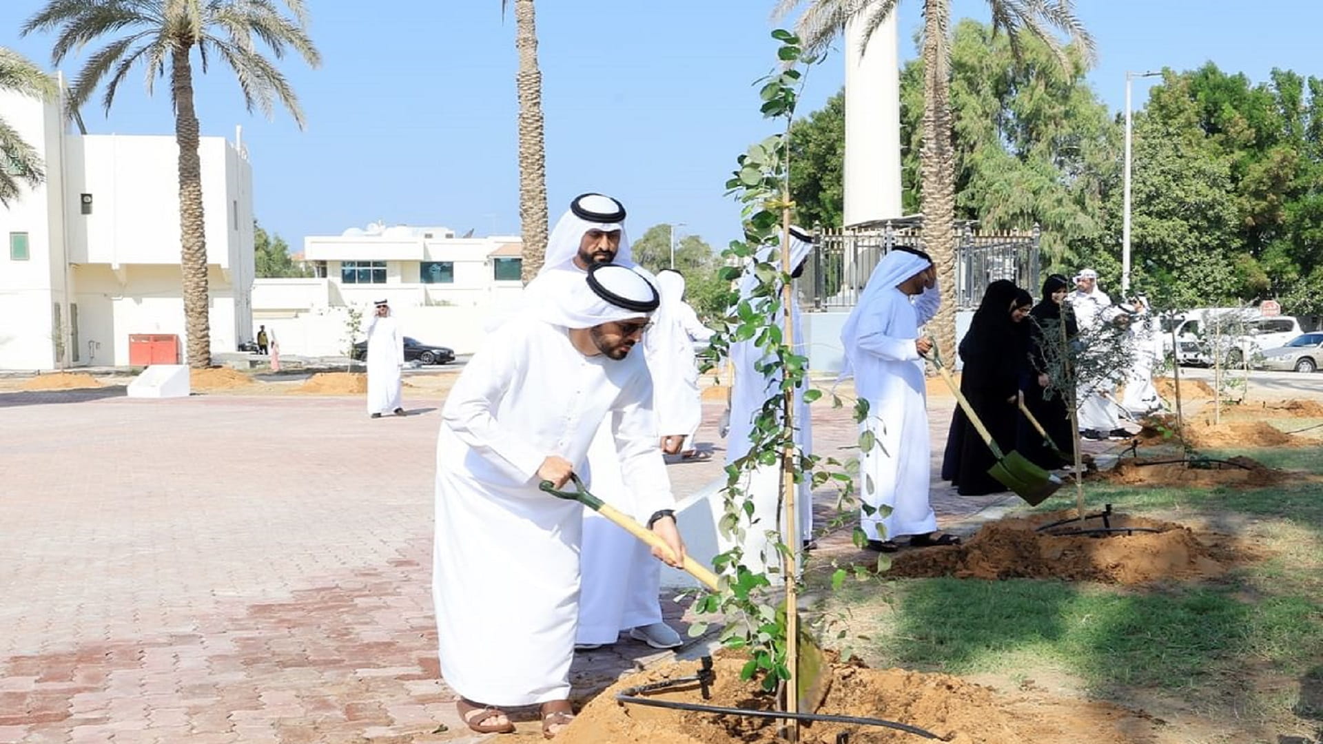 منصور بن زايد يتبرع بـ 10 آلاف شجرة دعماً لمبادرة "نزرع مسايدنا" 