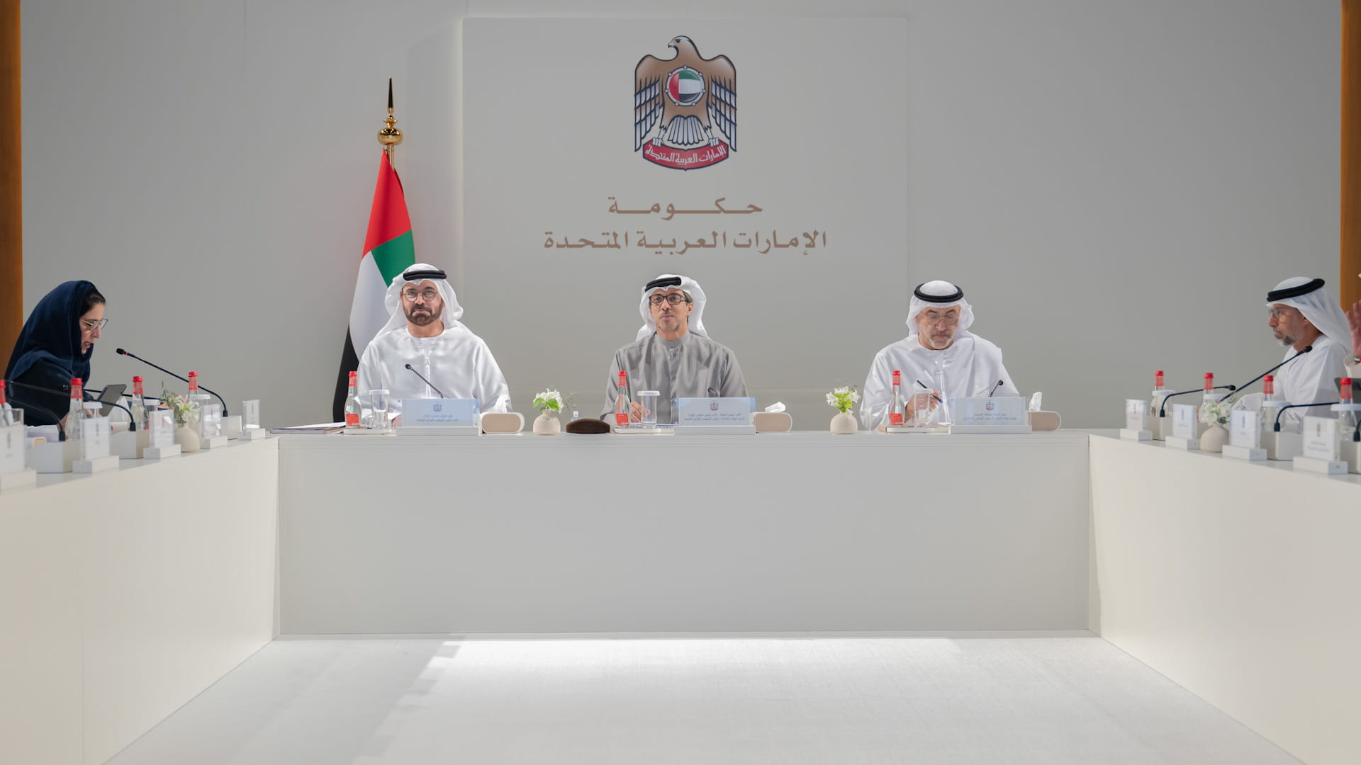 Mansour bin Zayed chairs Ministerial Development Council meeting 