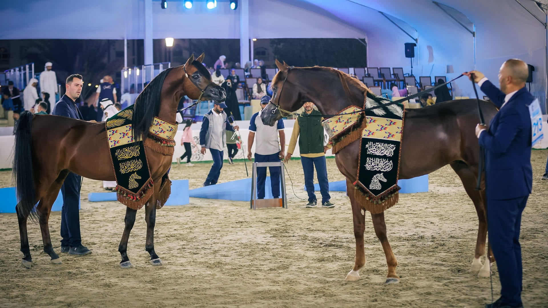6th Sharjah Kalba Arabian Horse Festival concludes 