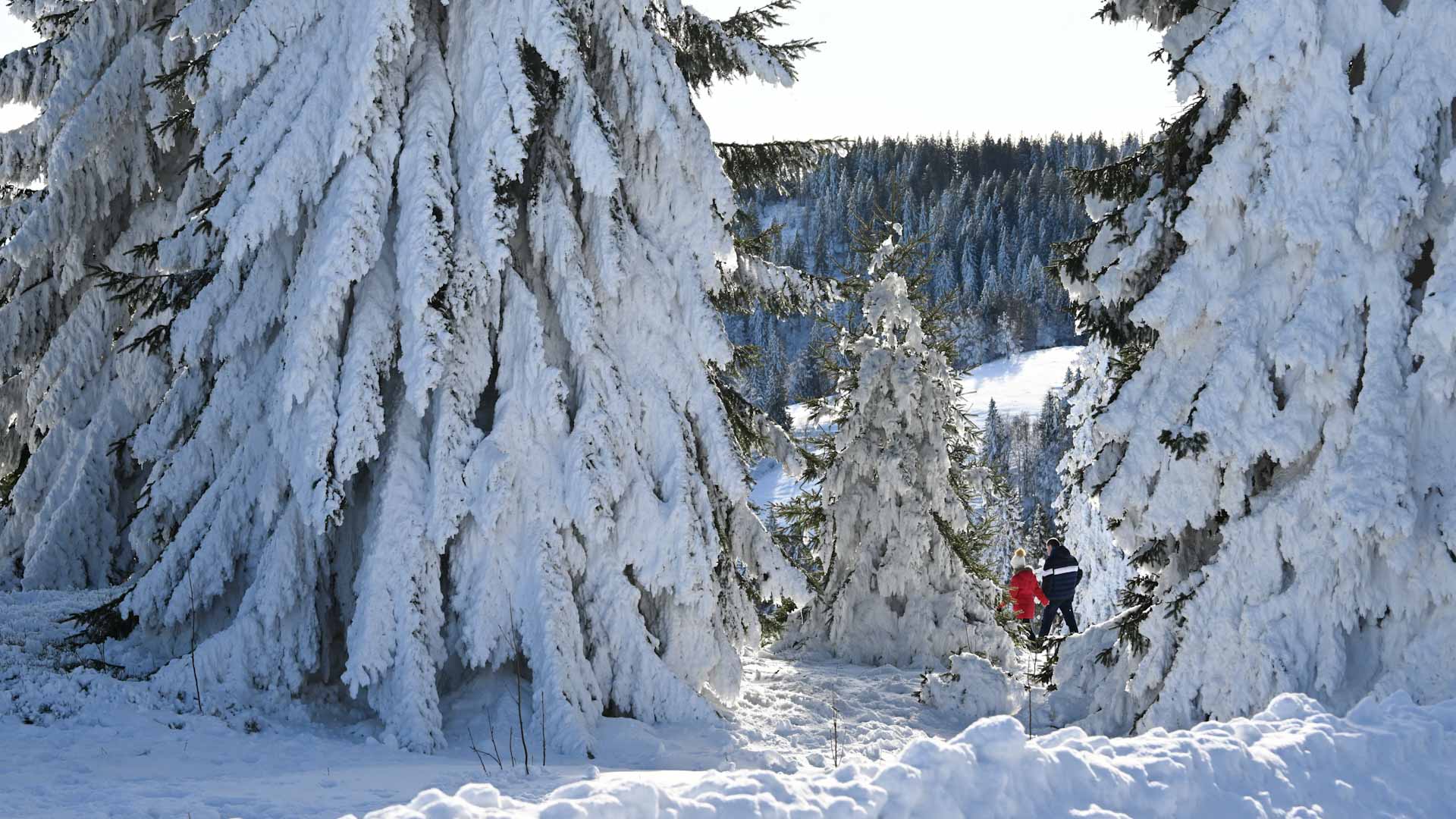 Europe's winters getting hotter, shattering Christmas fantasies 