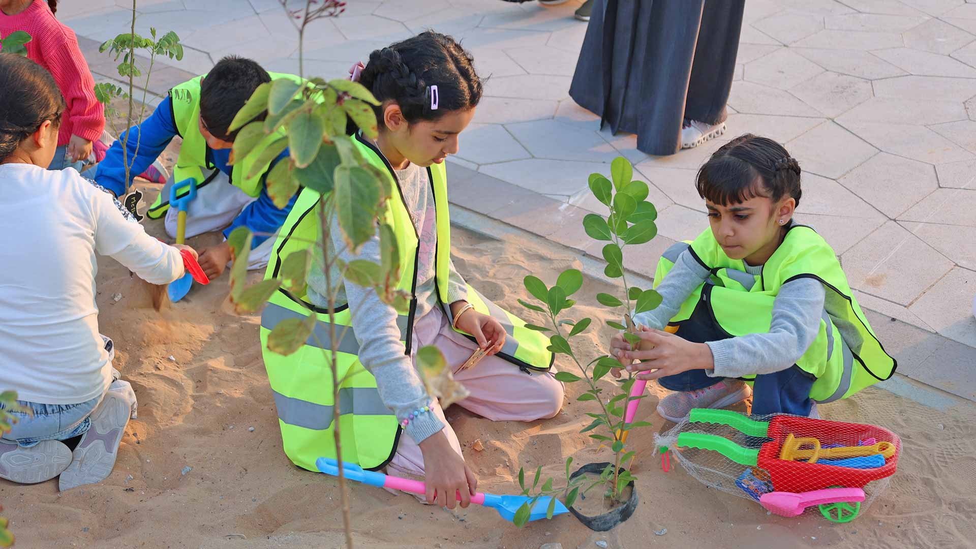 Al Suyoh’s children plant perennial trees  