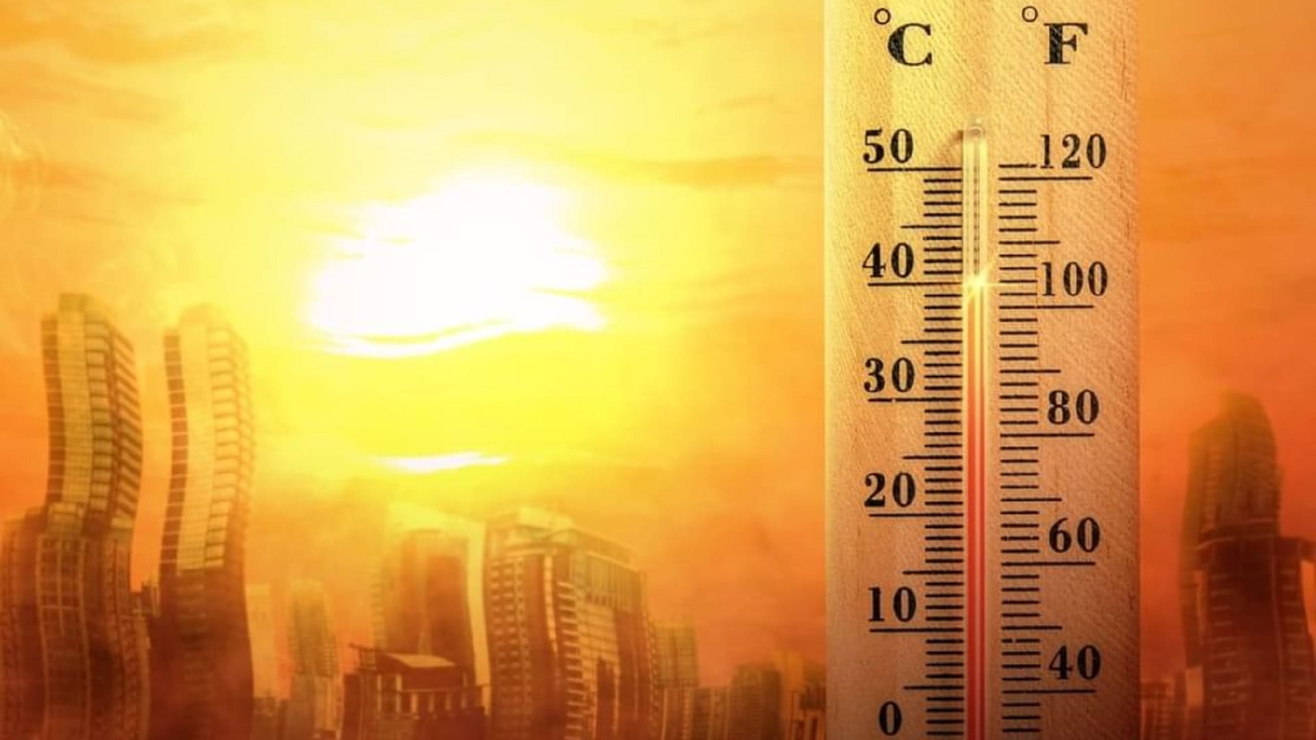 2024 warmest year in India since 1901, says IMD 