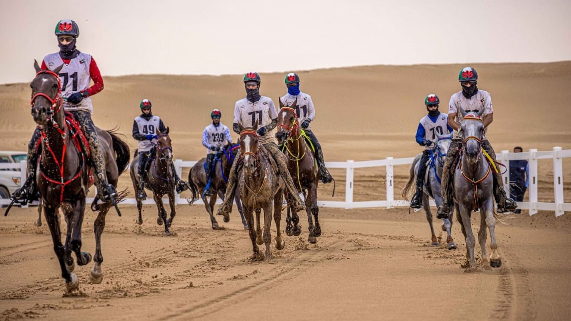 صورة بعنوان: مبادرات ومفاجآت بالمؤتمر الصحفي لكأس رئيس الدولة للقدرة بالوثبة 