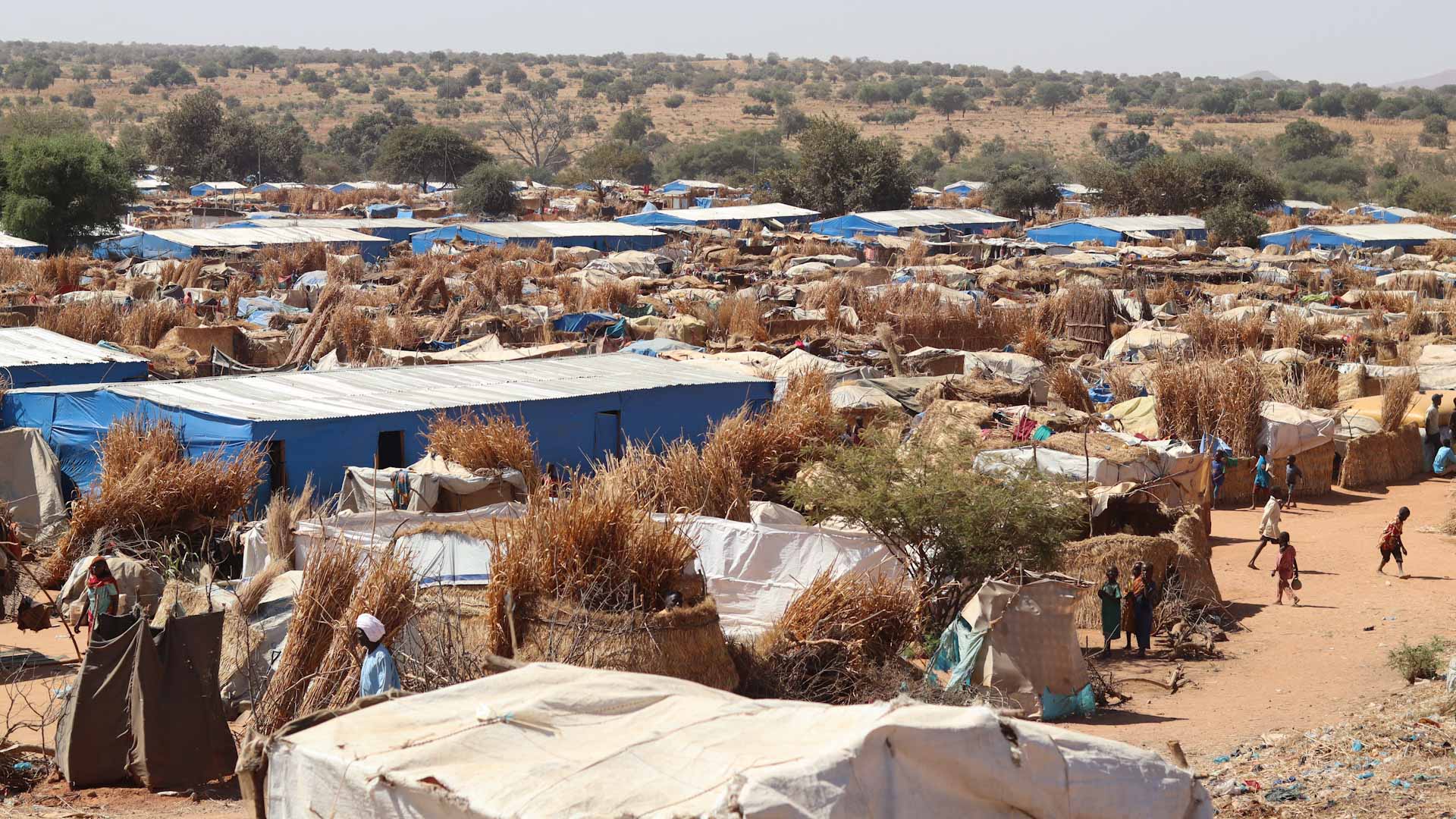Image for the title: 'Starving': Sudan aid workers sound alarm over spiralling crisis 