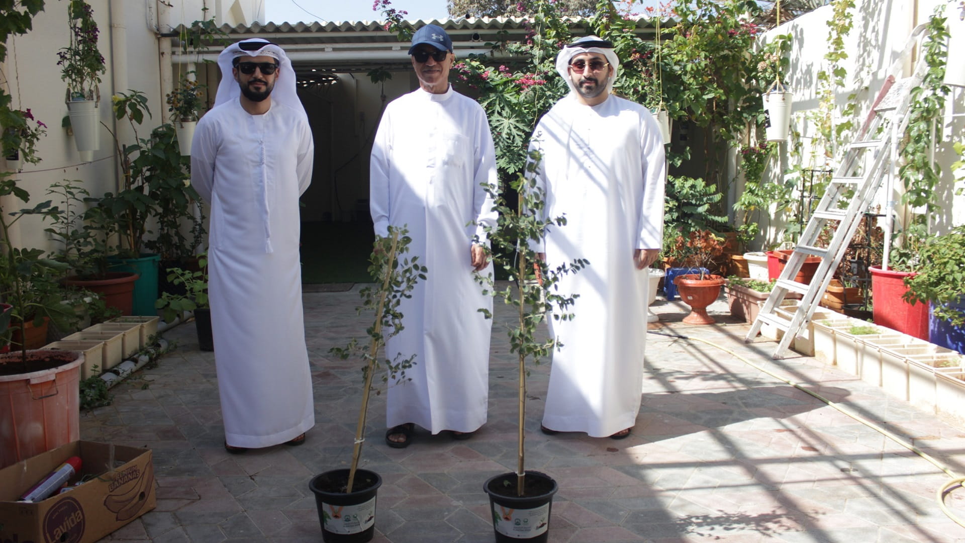 Image for the title: Al Hamriyah Mun launches initiatives “Afforestation Week” 