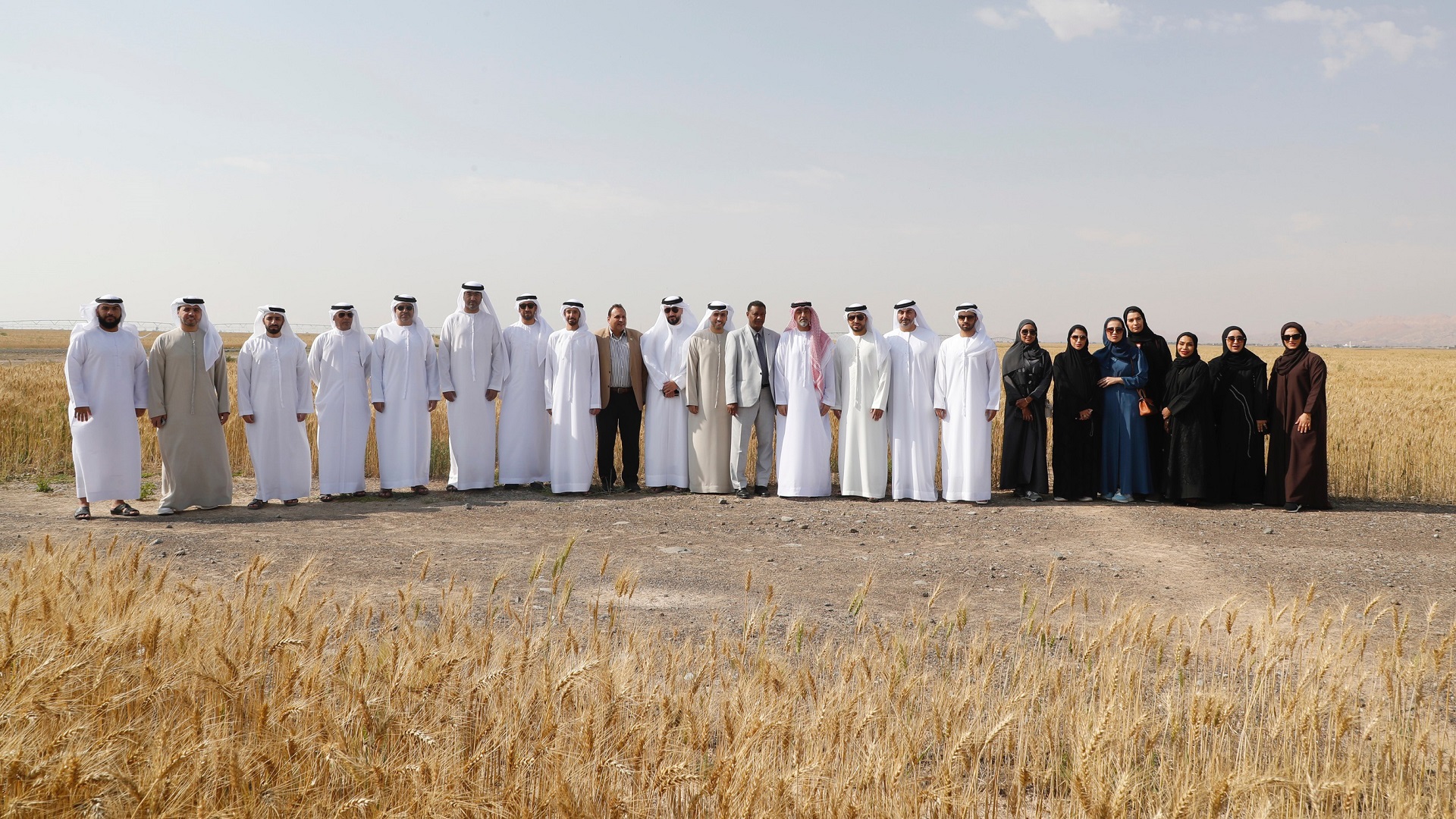 Image for the title: SEDD delegation visits wheat farm in Mleiha 