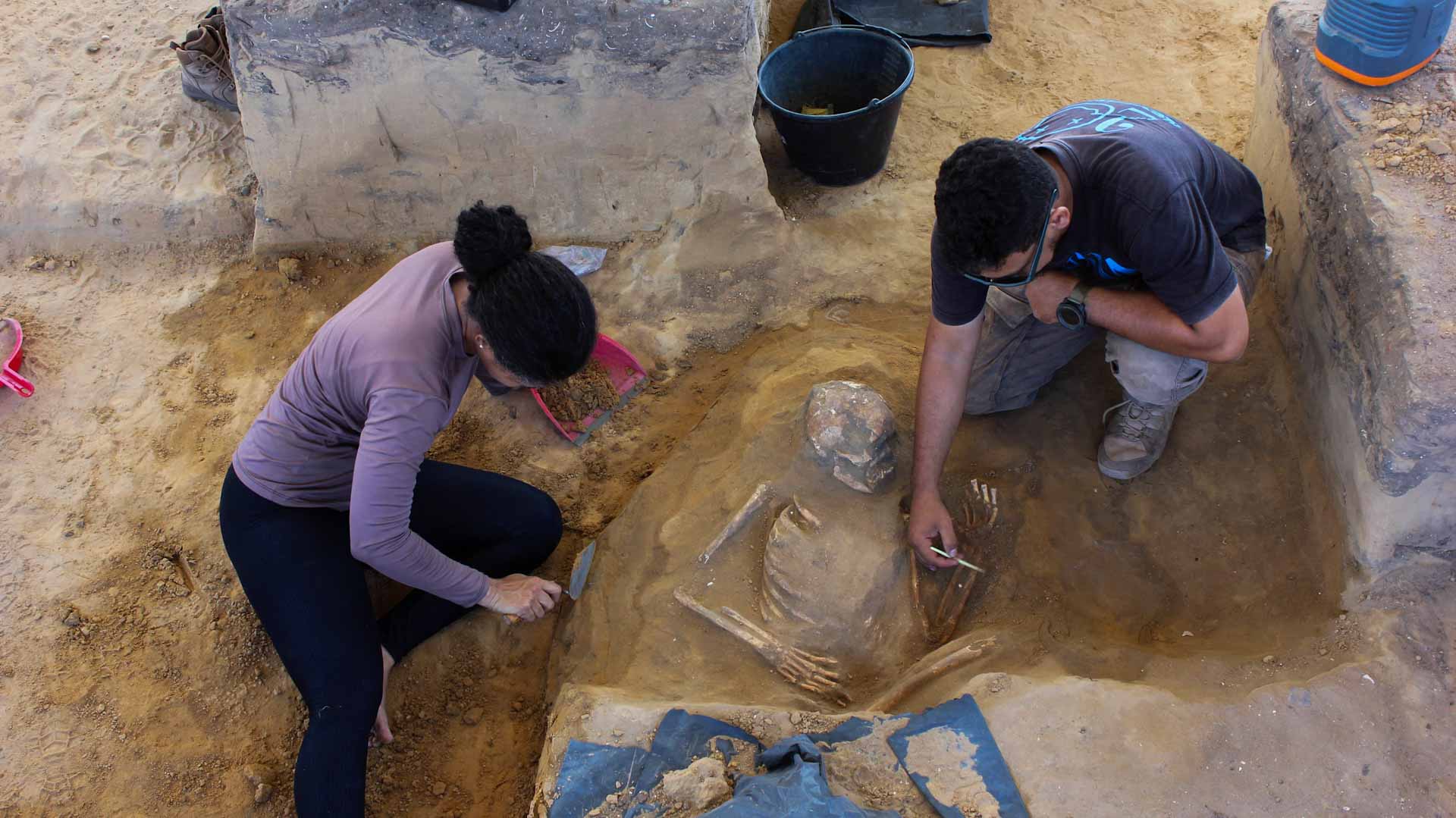 Image for the title: Massive trove of ancient artifacts, skeletons found in Brazil 