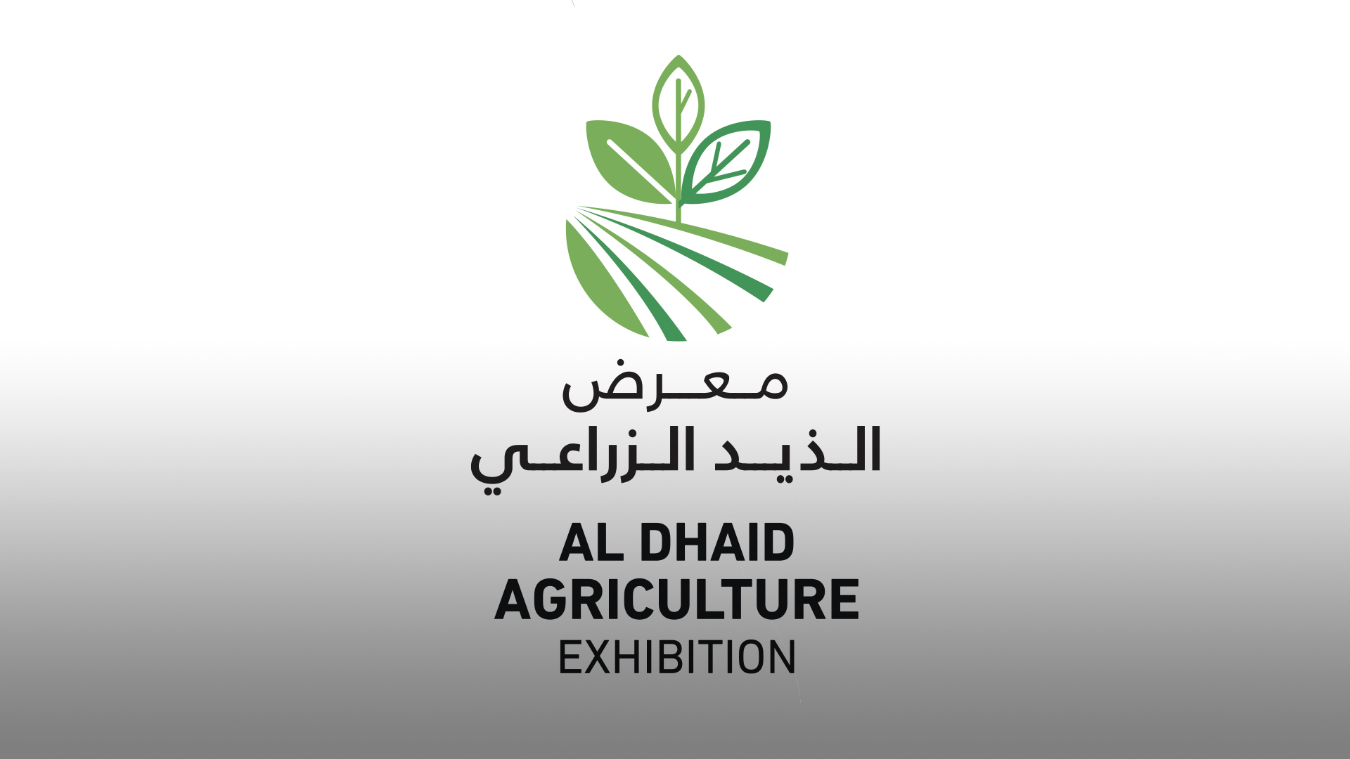 Image for the title: First edition of Al Dhaid Agriculture Exhibition opens Thursday 