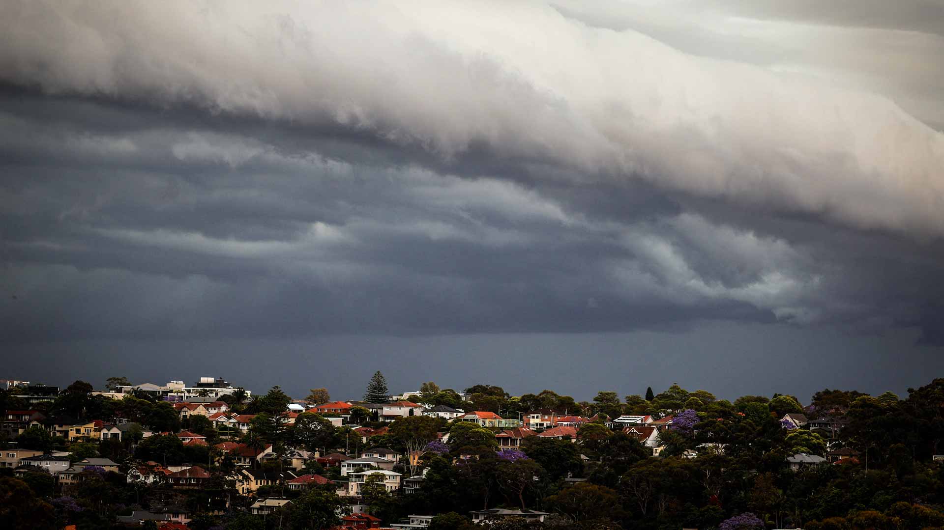 Image for the title: Cyclone hits northeast Australia leaving thousands without power