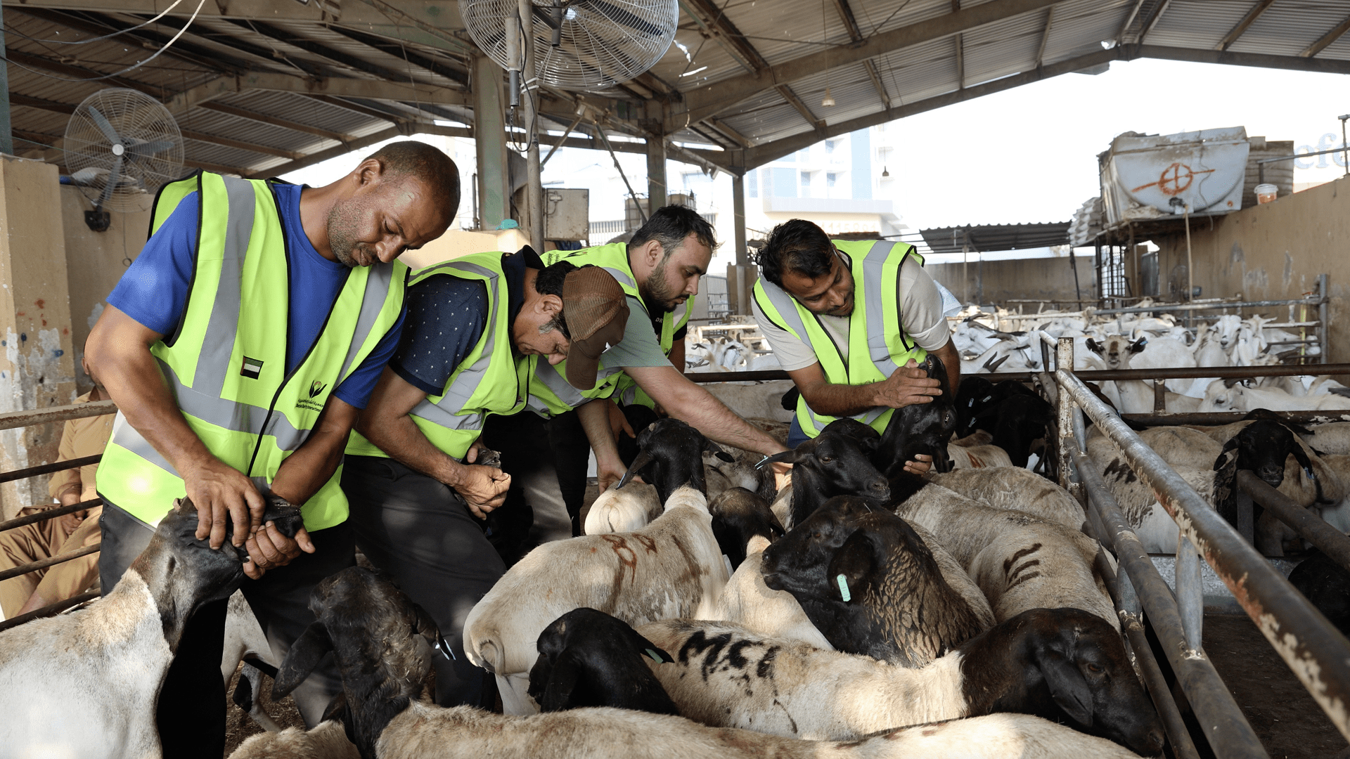 Early Donations for Eid Sacrifices Encouraged Early Donations for Eid Sacrifices Encouraged
