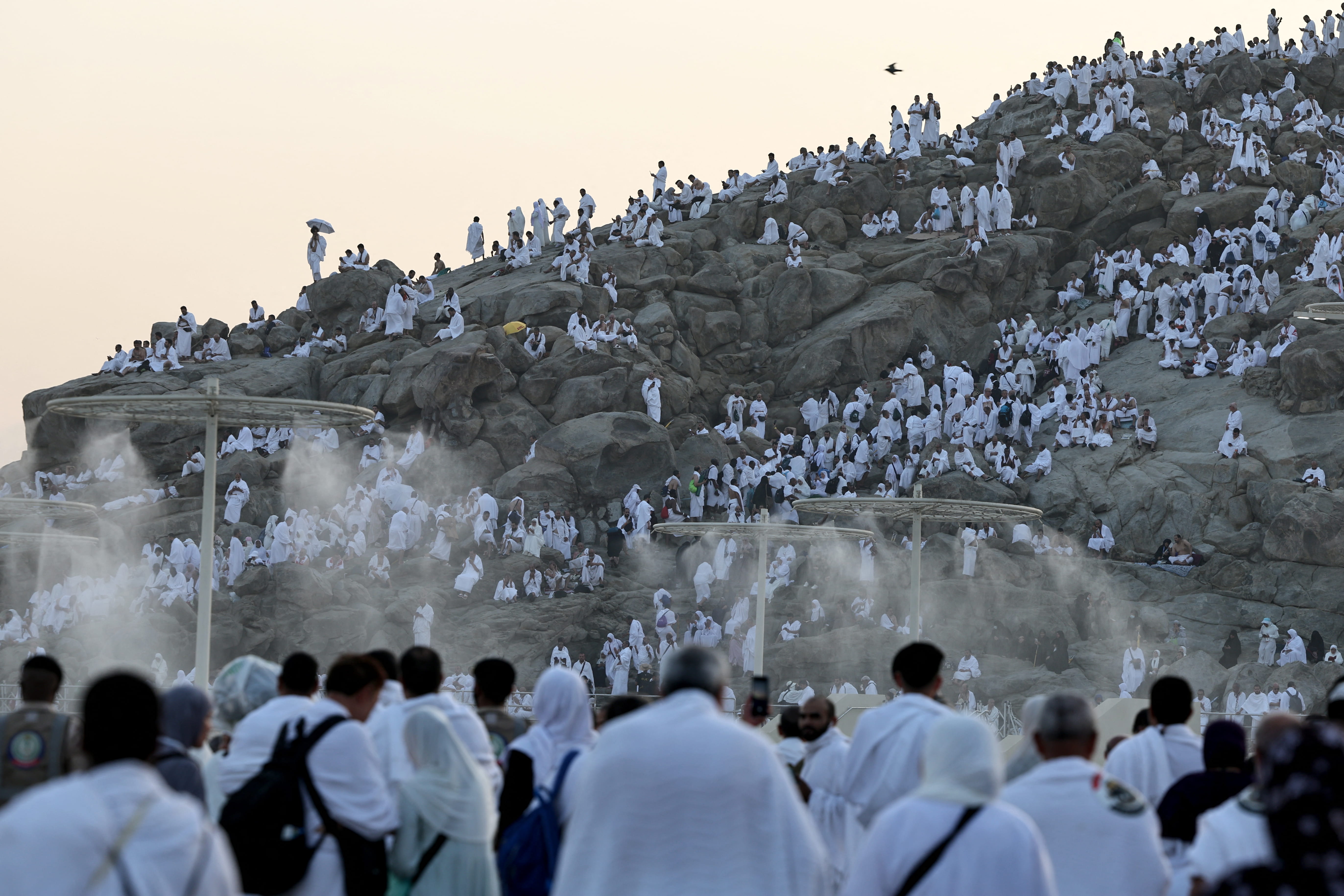 Image for the title: Al Hammadi: God expresses His pride of pilgrims on Day of Arafah  