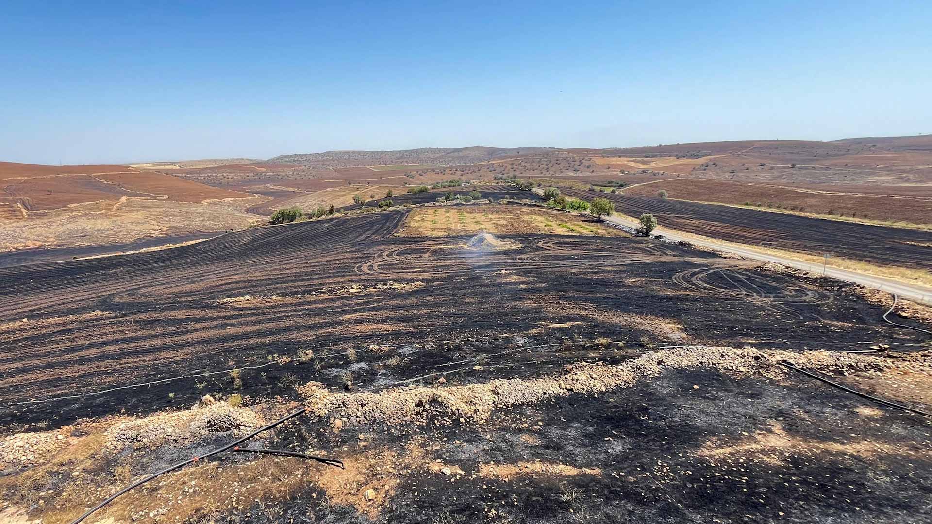Image for the title: Southeastern Turkey wildfire toll rises to 11 