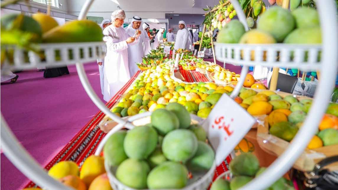 Image for the title: Khorfakkan, Eastern Region produce finest mango due to nature 