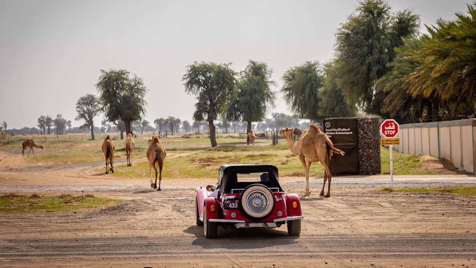 Image for the title: SCCC commemorates national day with  "Masar 71 Rally" 