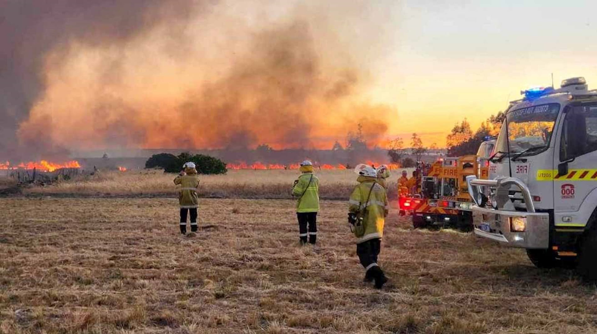 Image for the title: Australia's raging bushfires devastate homes and cattle 