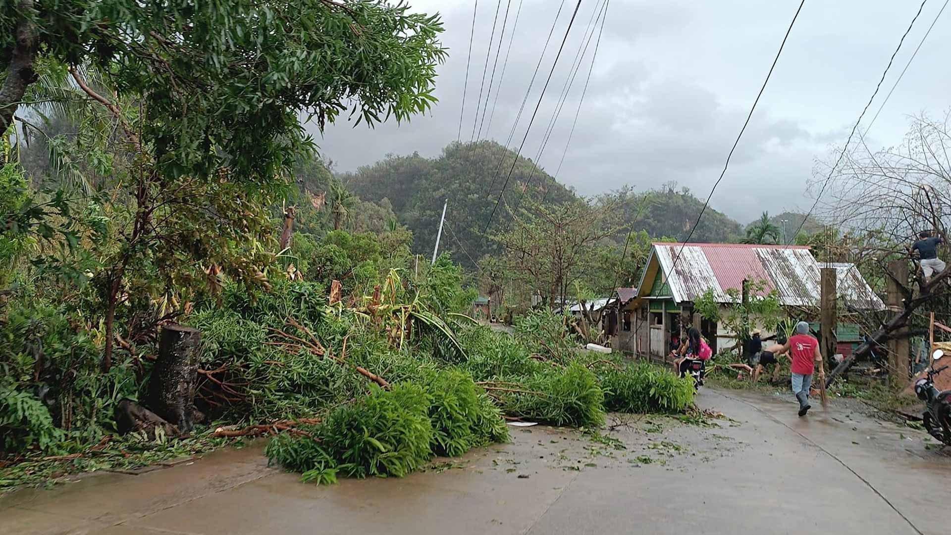 Super Typhoon Manyi destroys electrical wires in Philippines